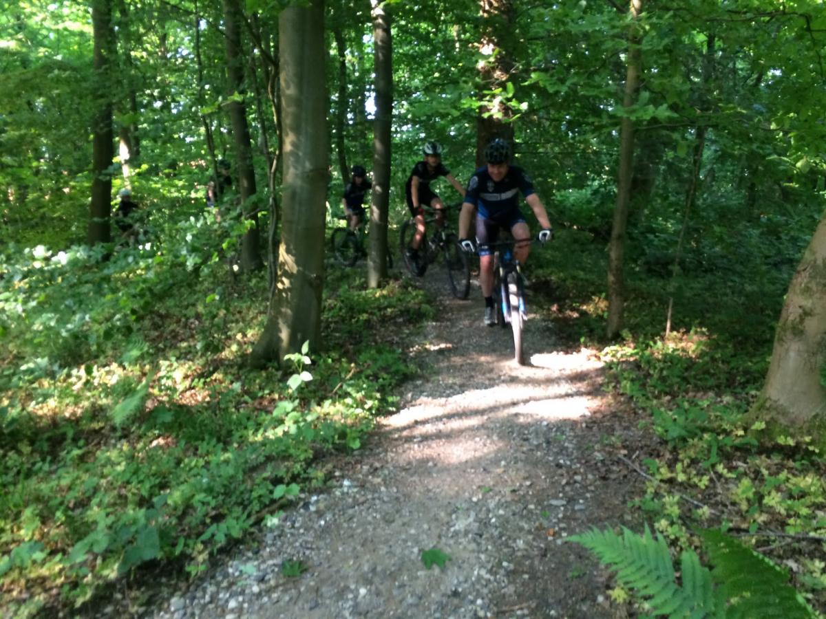 Mountainbike track bridge
