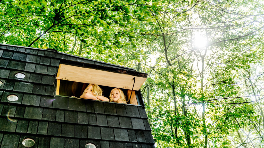 Shelter Children in the window