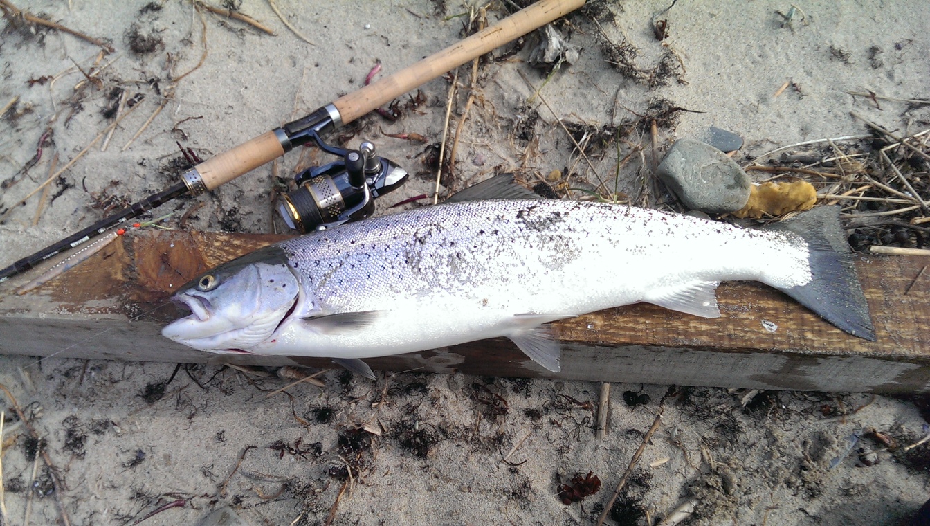 Traut on the beach
