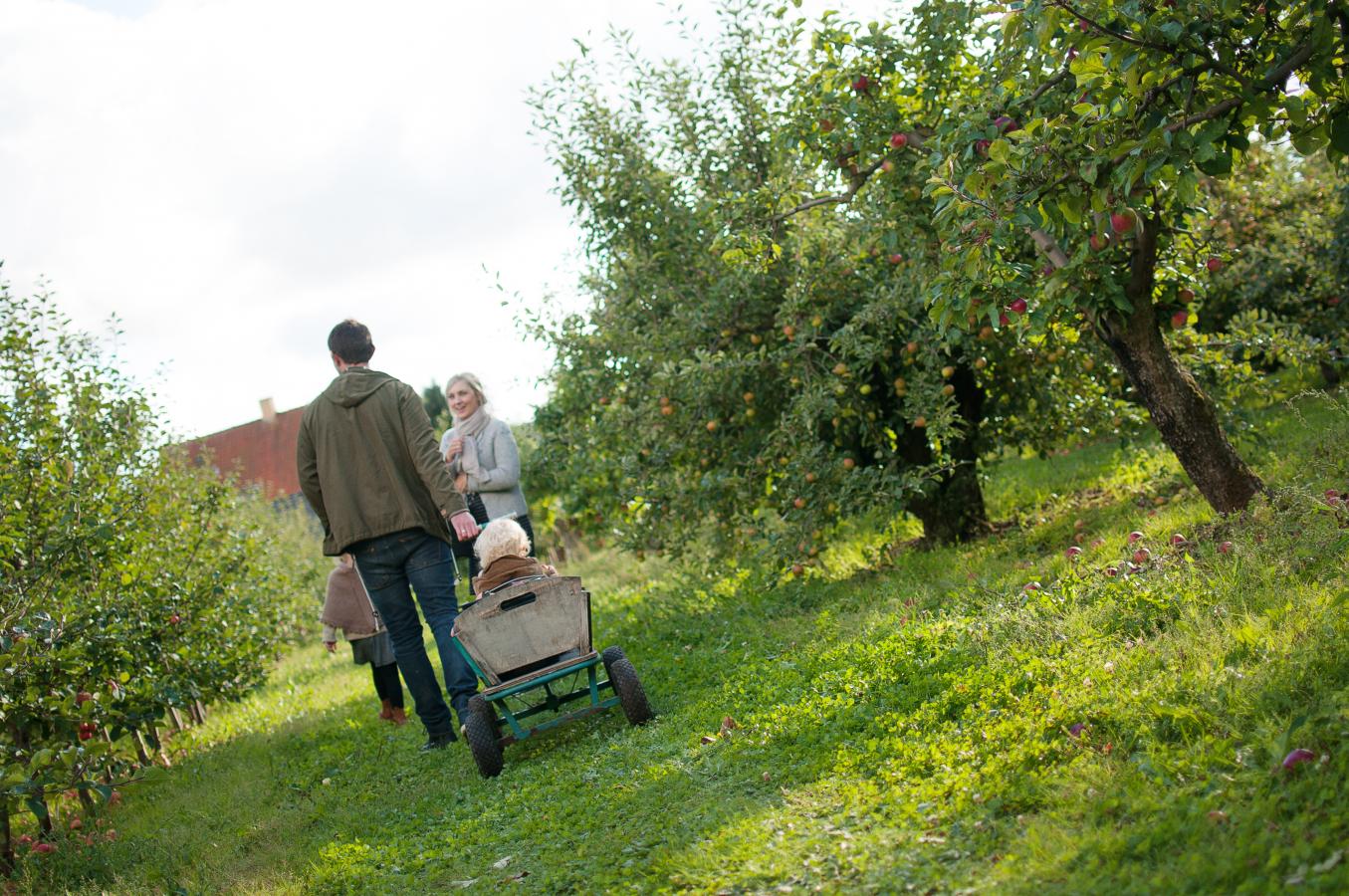 Geopark Det Sydfynske Øhav - Spisekammer