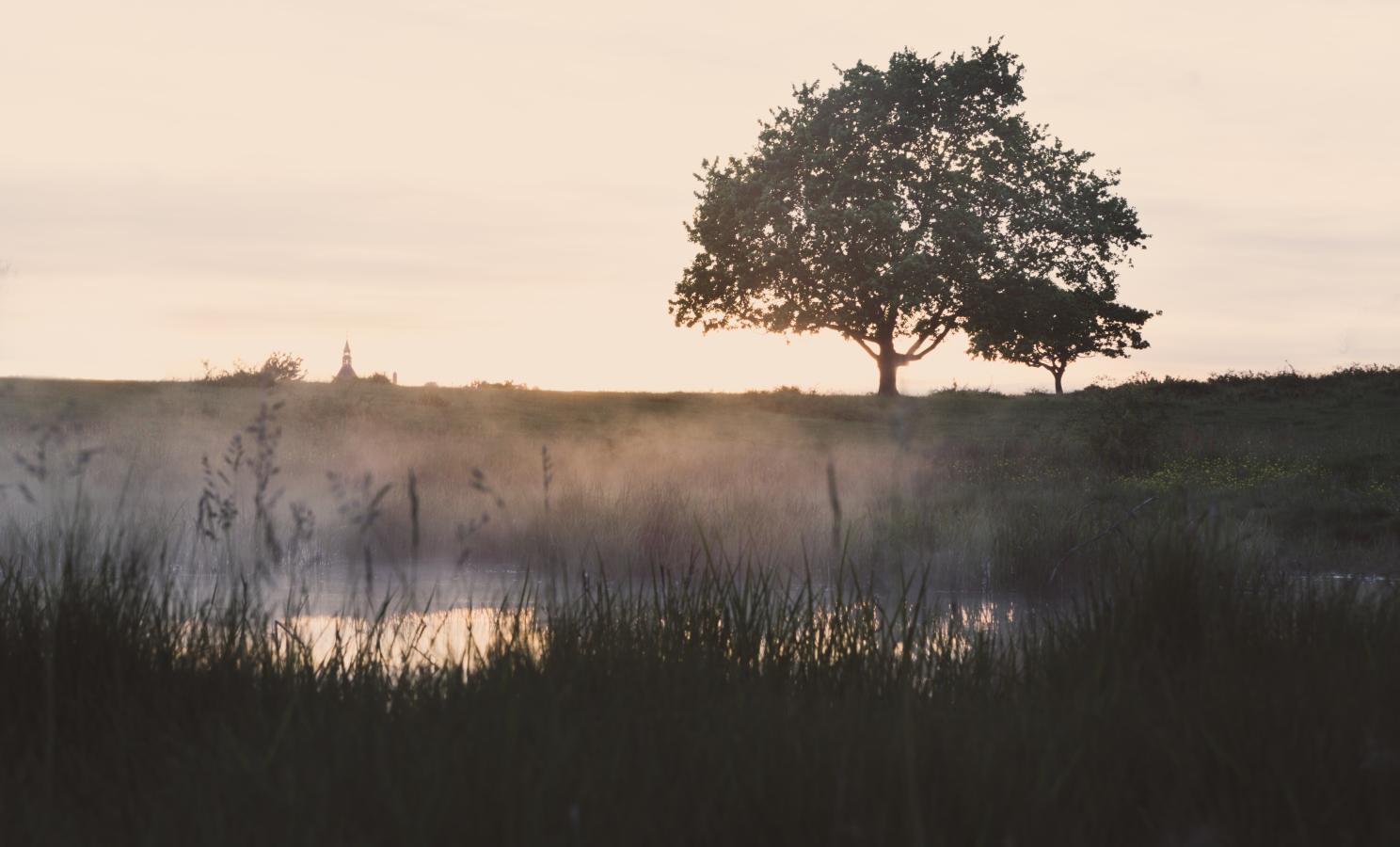 Billede af Skansen Svendborg