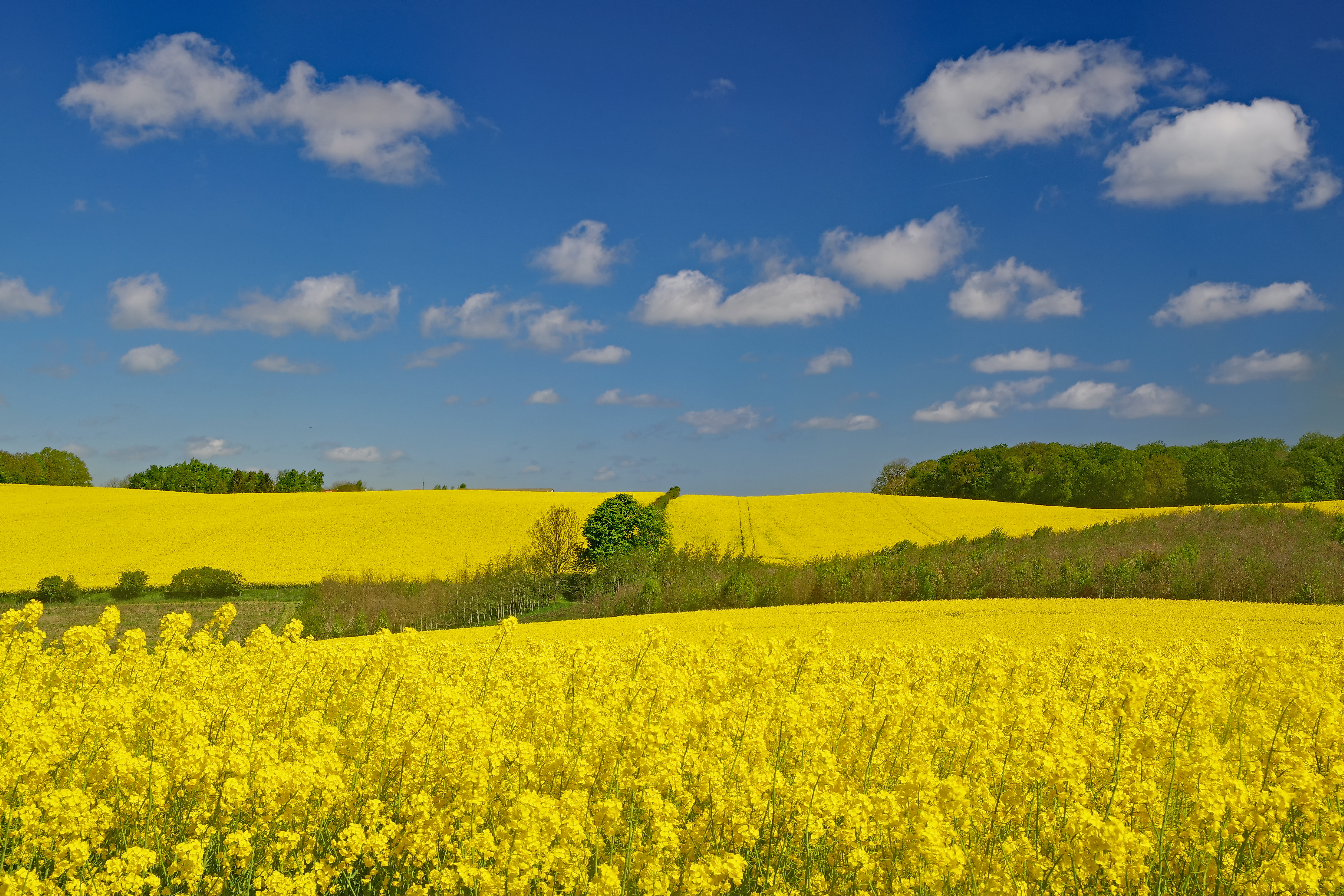 Svendborg, Herregårdsruten