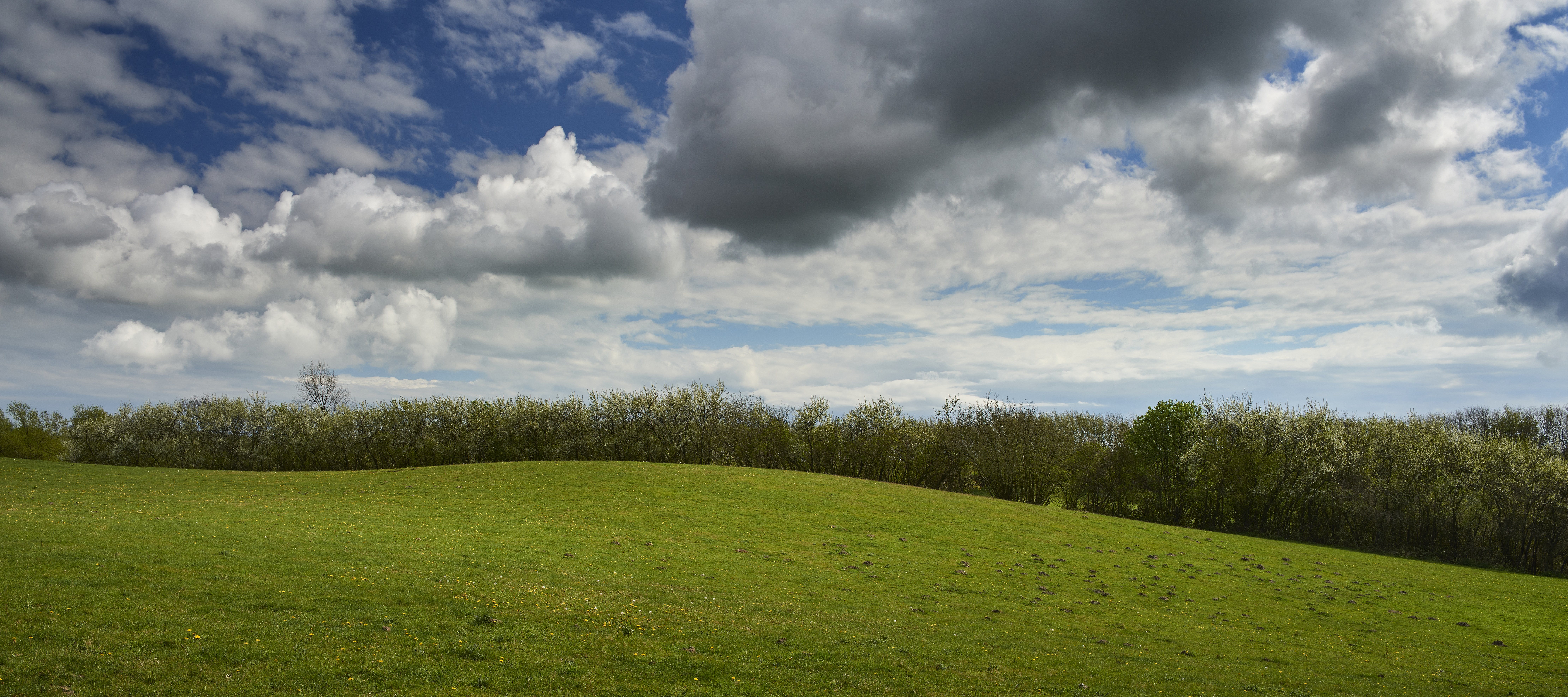 Naturlandskab Egebjerg Bakker i Svendborg Kommune
