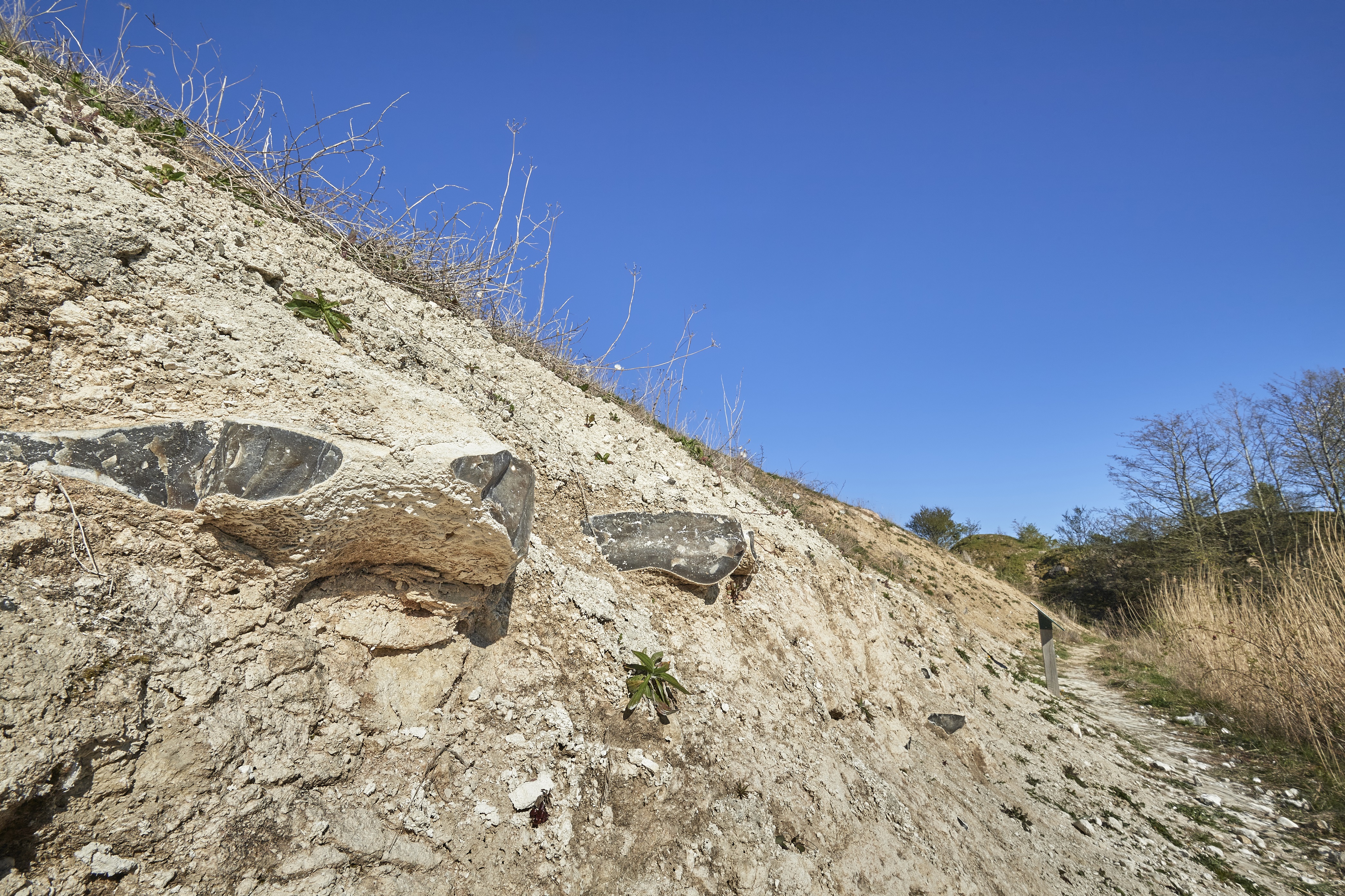Naturlandskab Klinkholm Kalkgrav i Svendborg Kommune