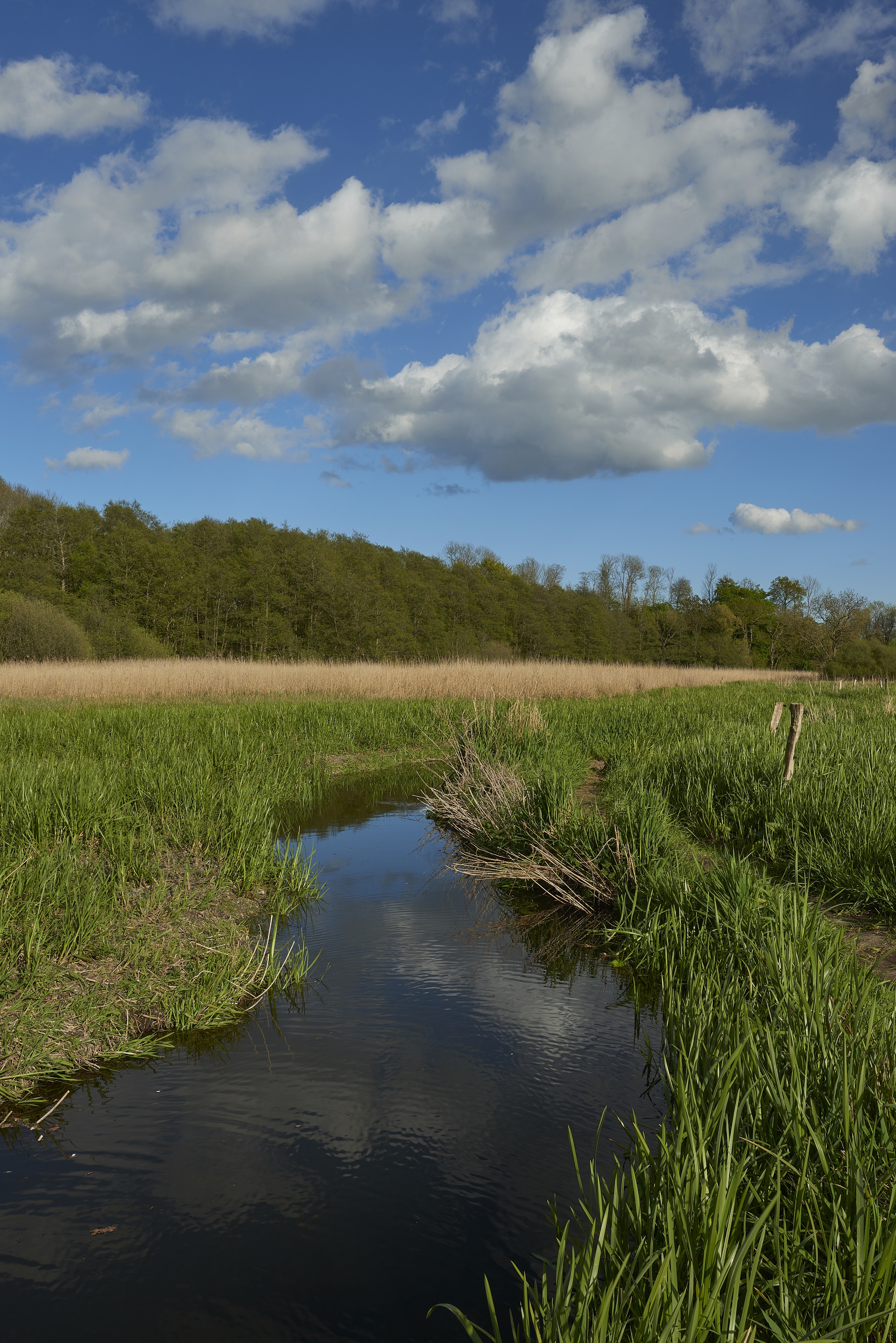 Naturlandskab Syltemade Ådal i Svendborg Kommune