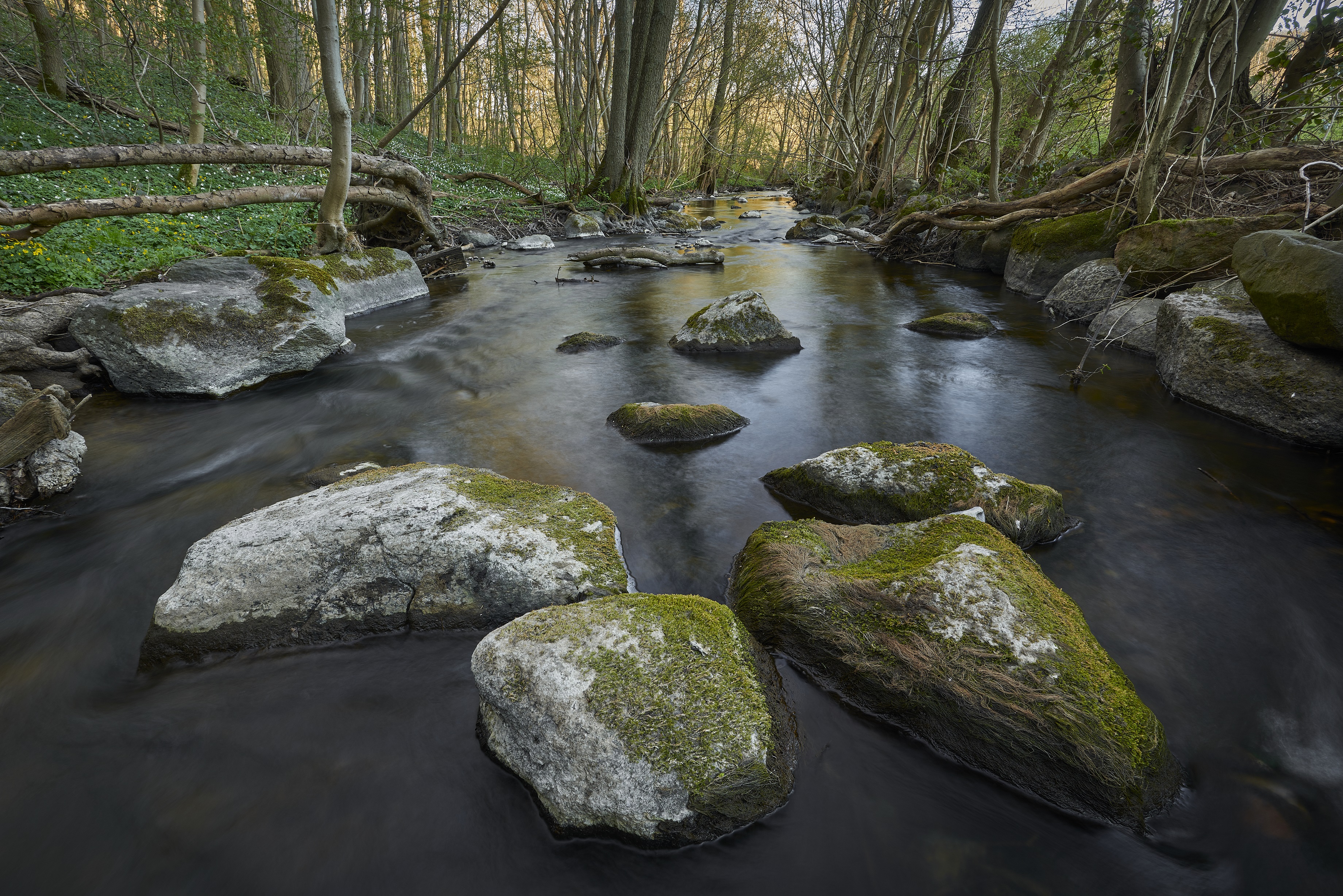 Naturlandsskab Vejstrup Ådal i Svendborg Kommune