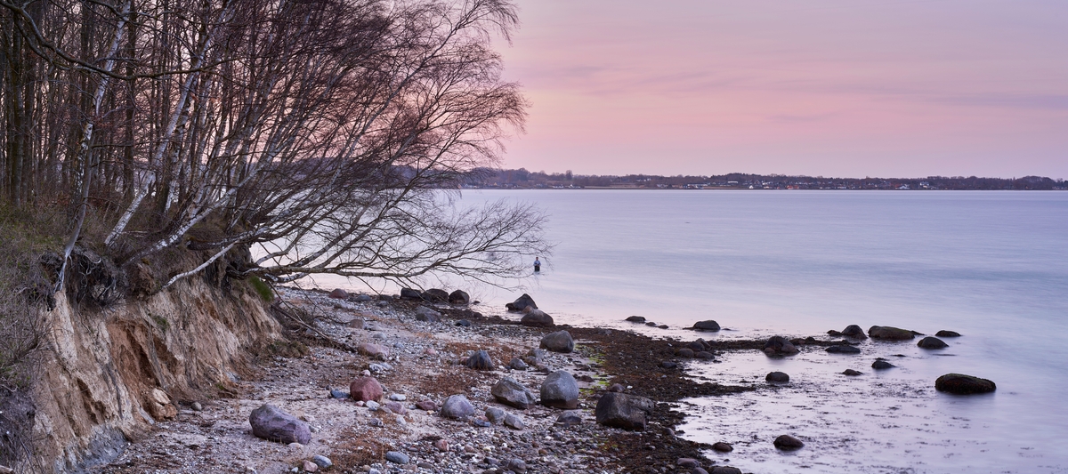 Thurø Østerskov landskab, en del af Geopark Det Sydfynske Øhav