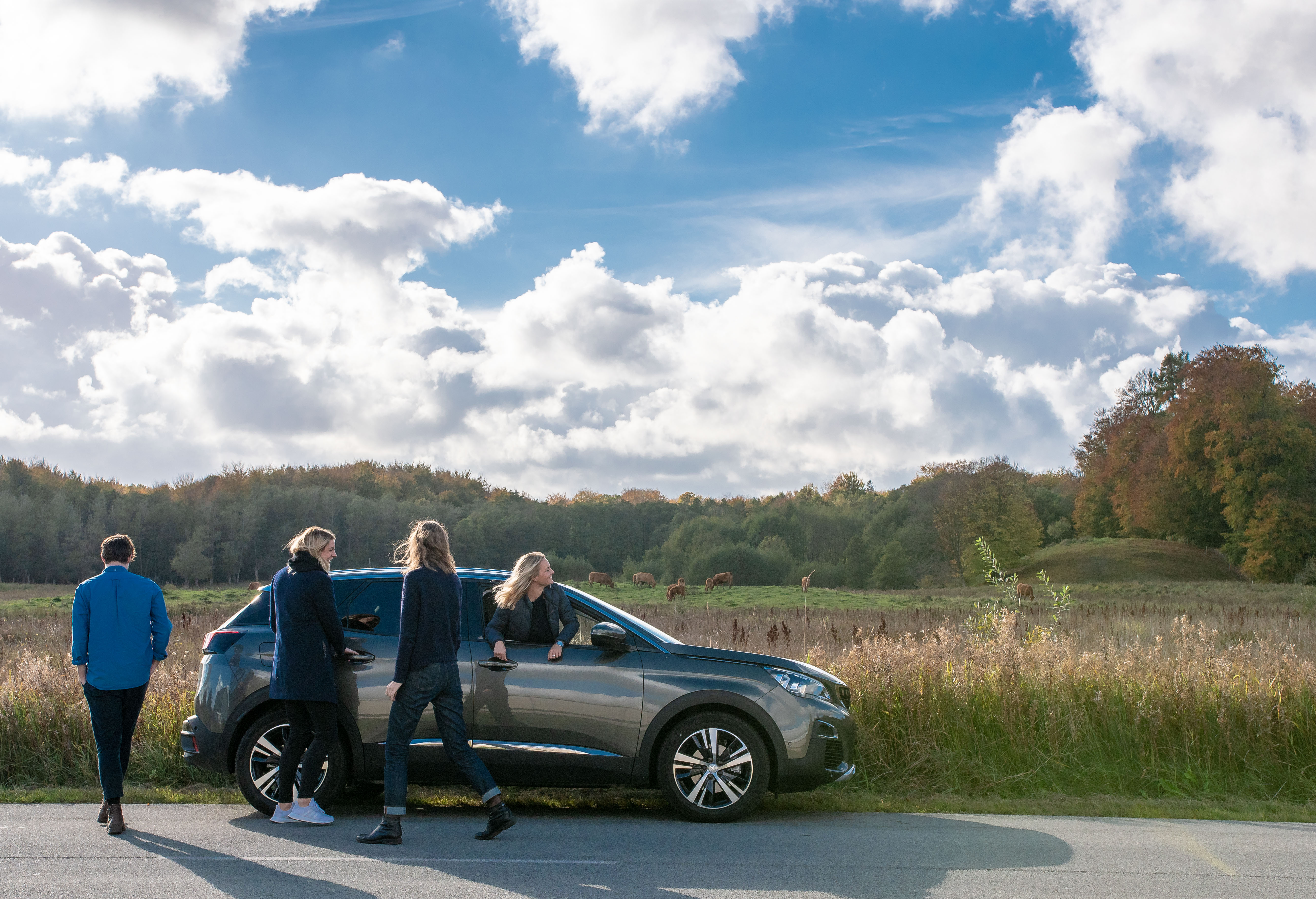 Samkørsel til og fra Svendborg med GoMore