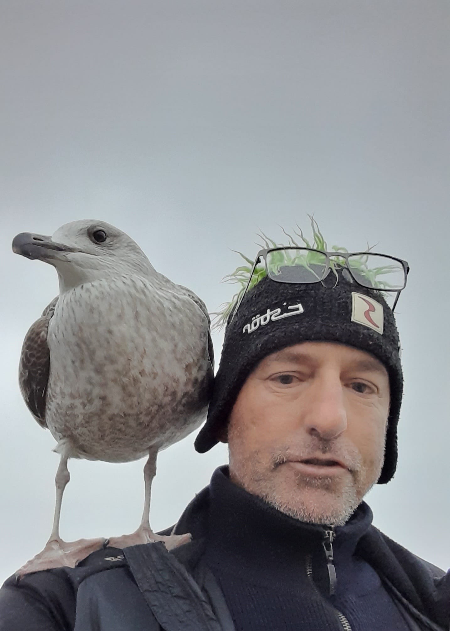 Jesper Stig Andersen