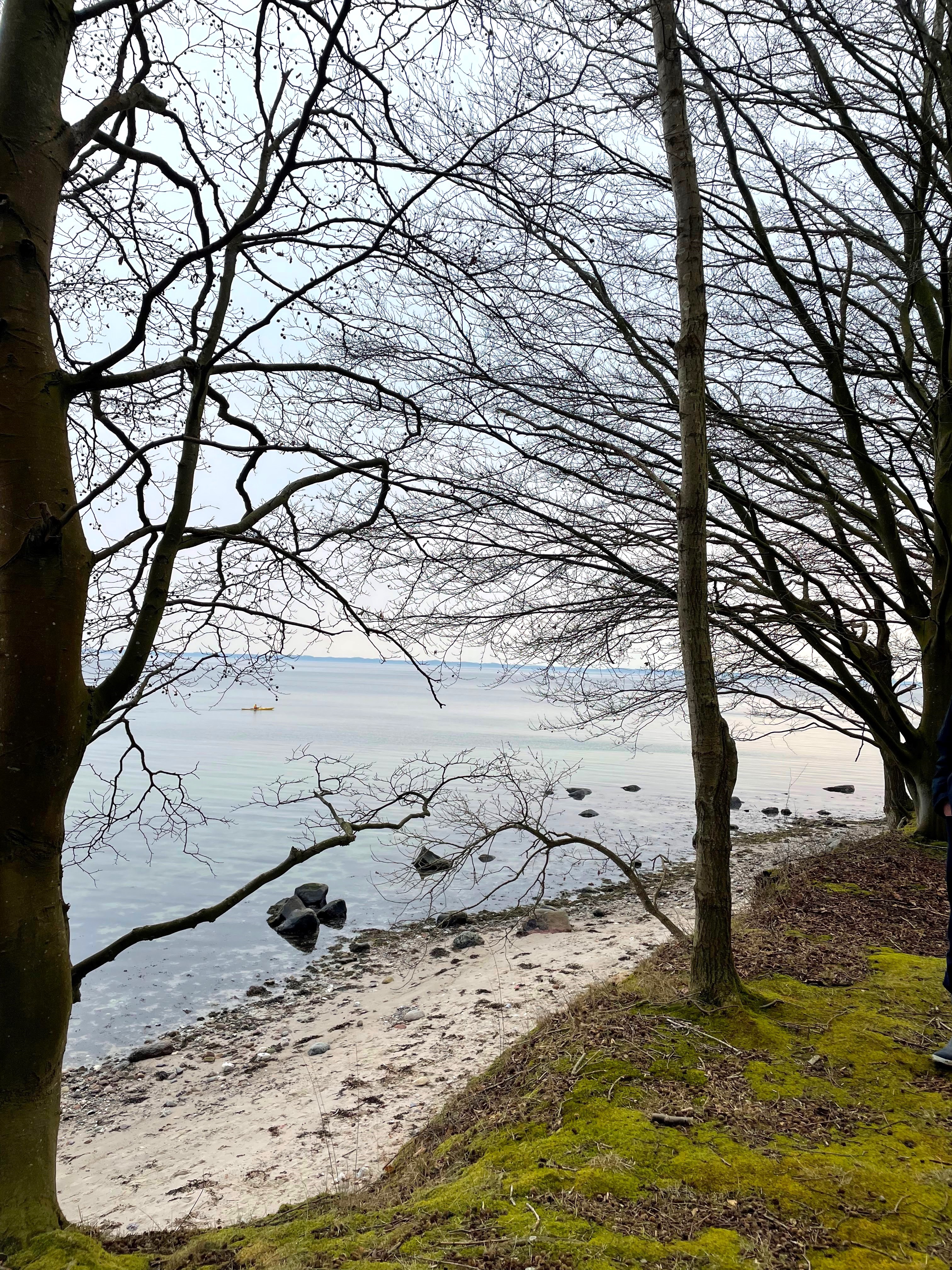 Thruø Rev med udsigt til Langeland