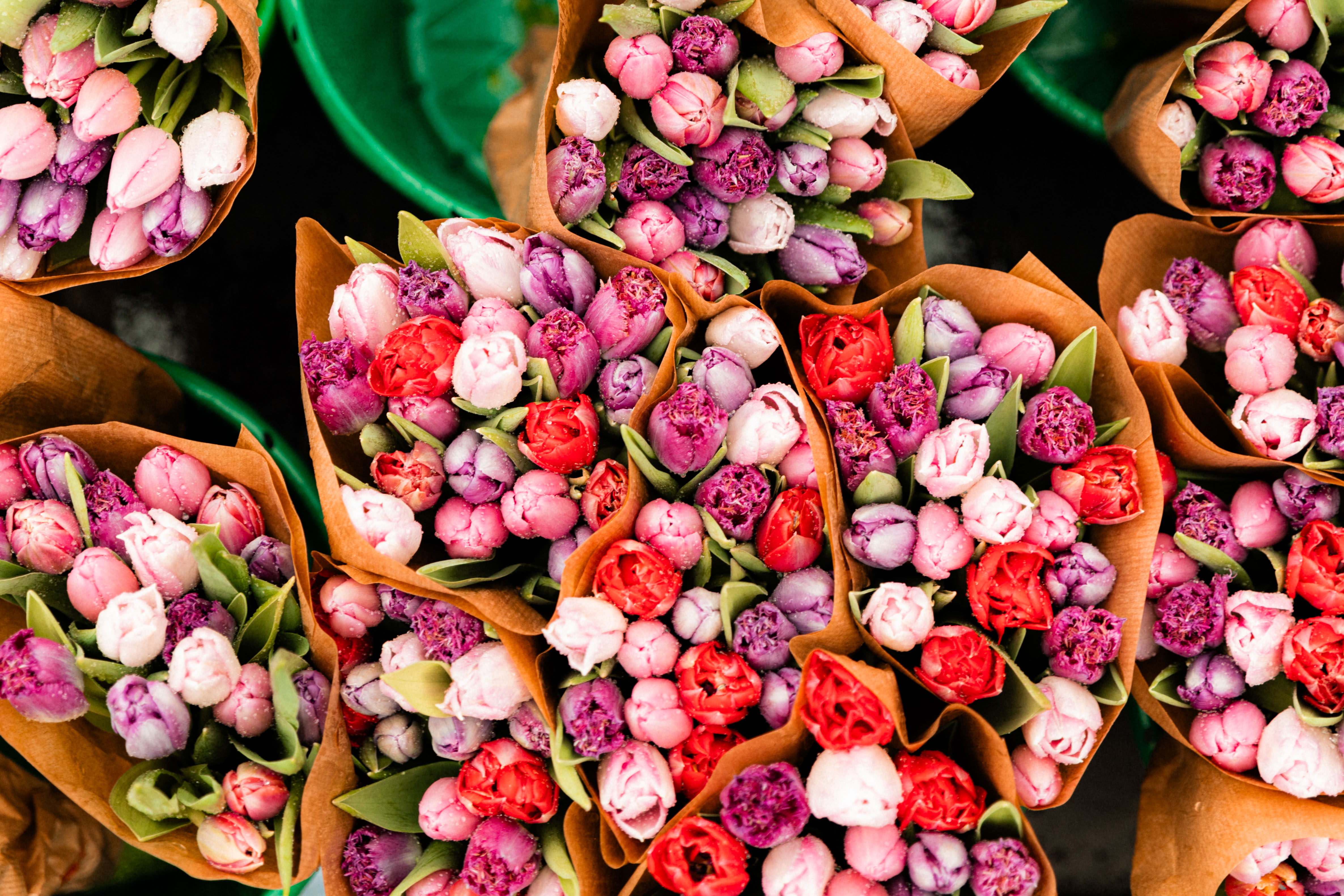 Forårs i Svendborg, tulipaner til torvedag