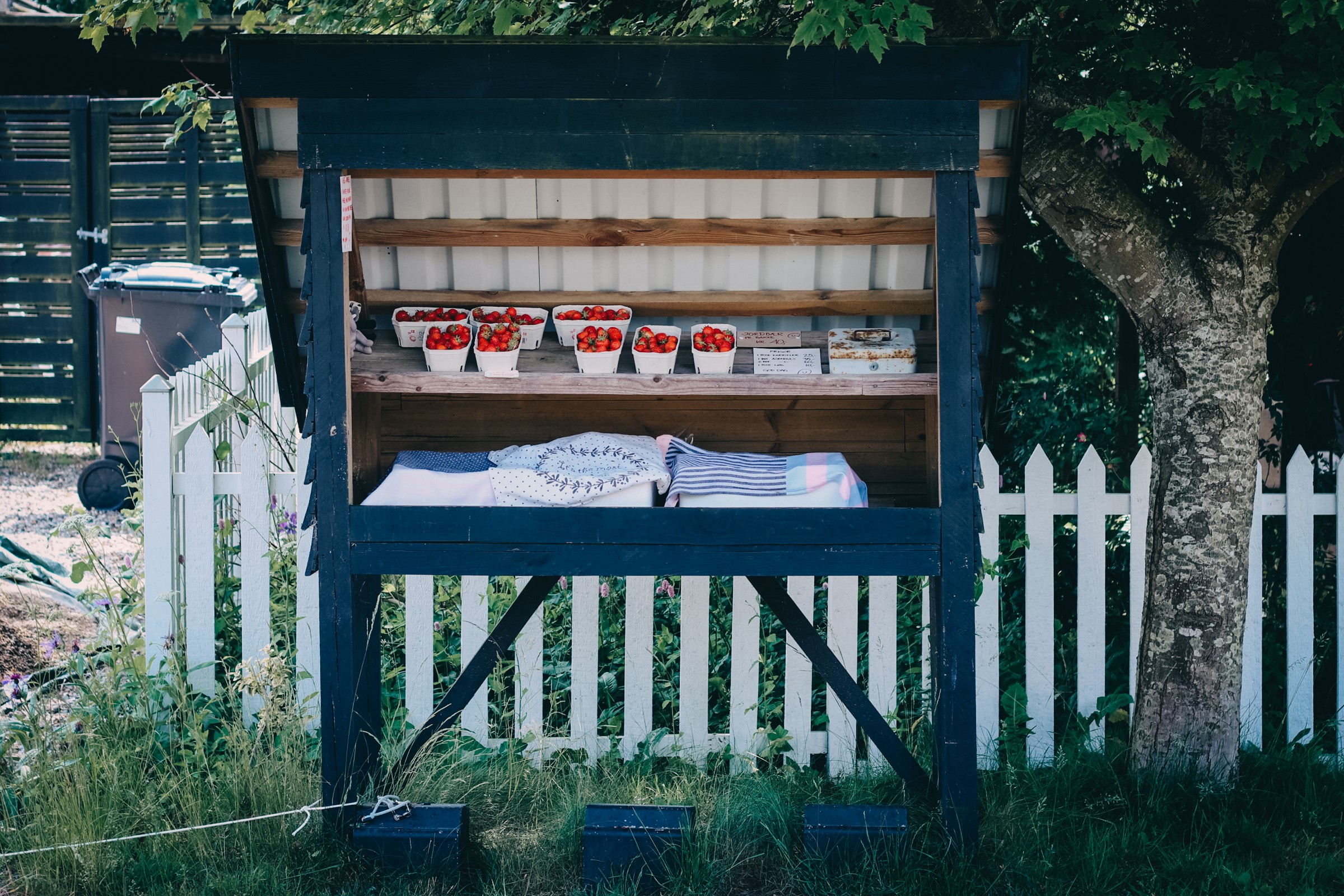 Vejbod ved Svendborg