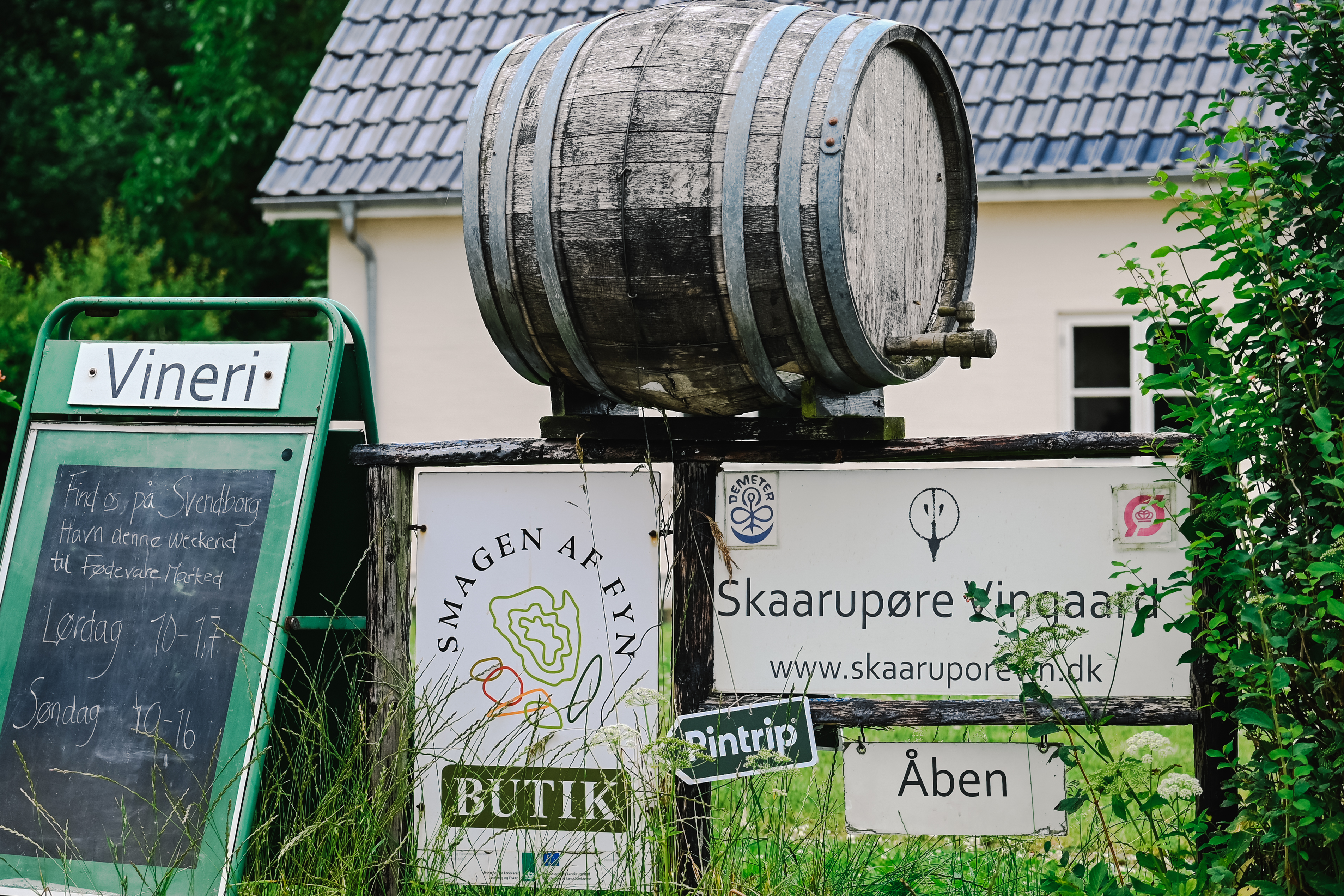 Skaarupøre Vingård