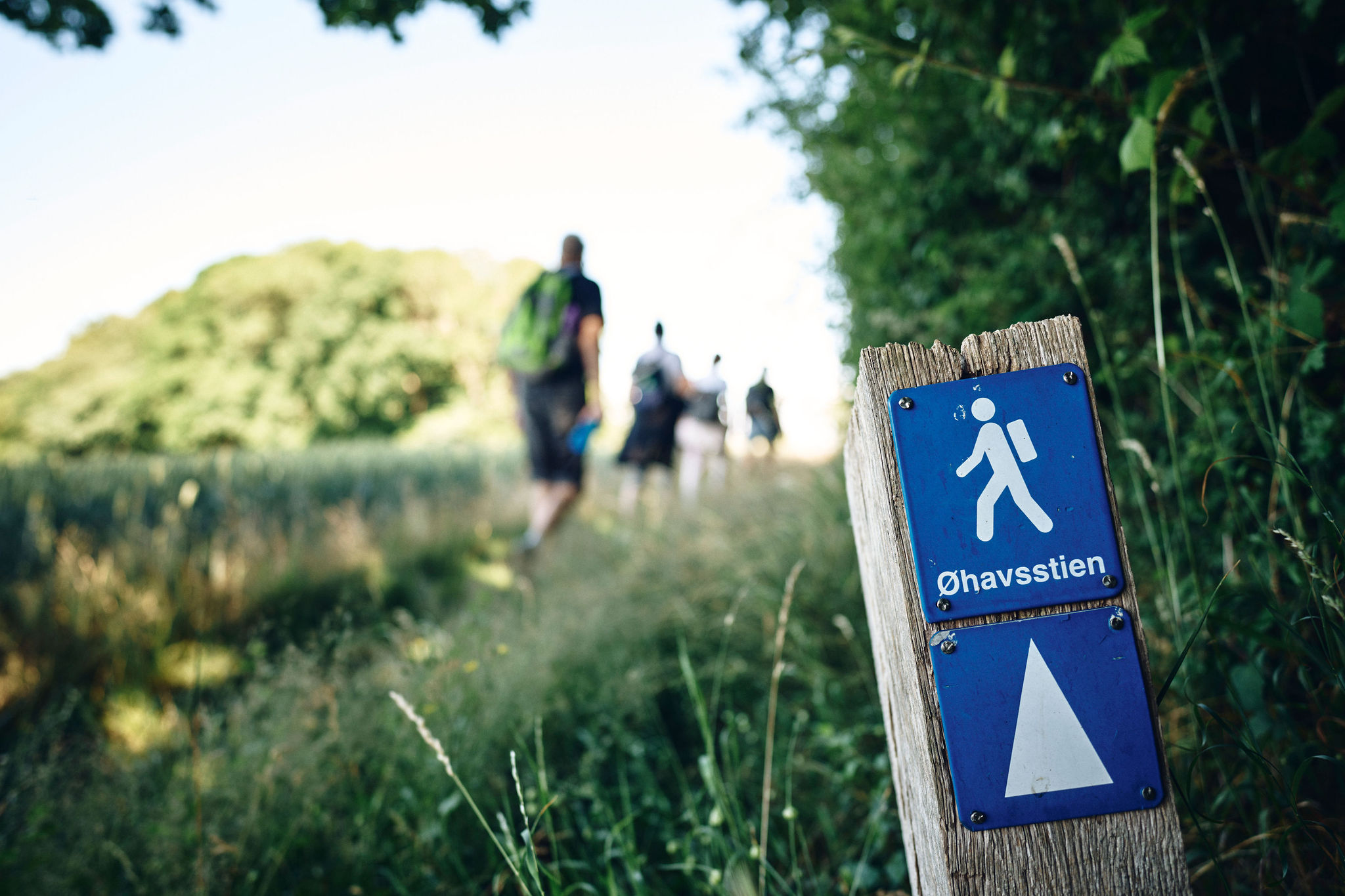 Øhavsstien Svendborg