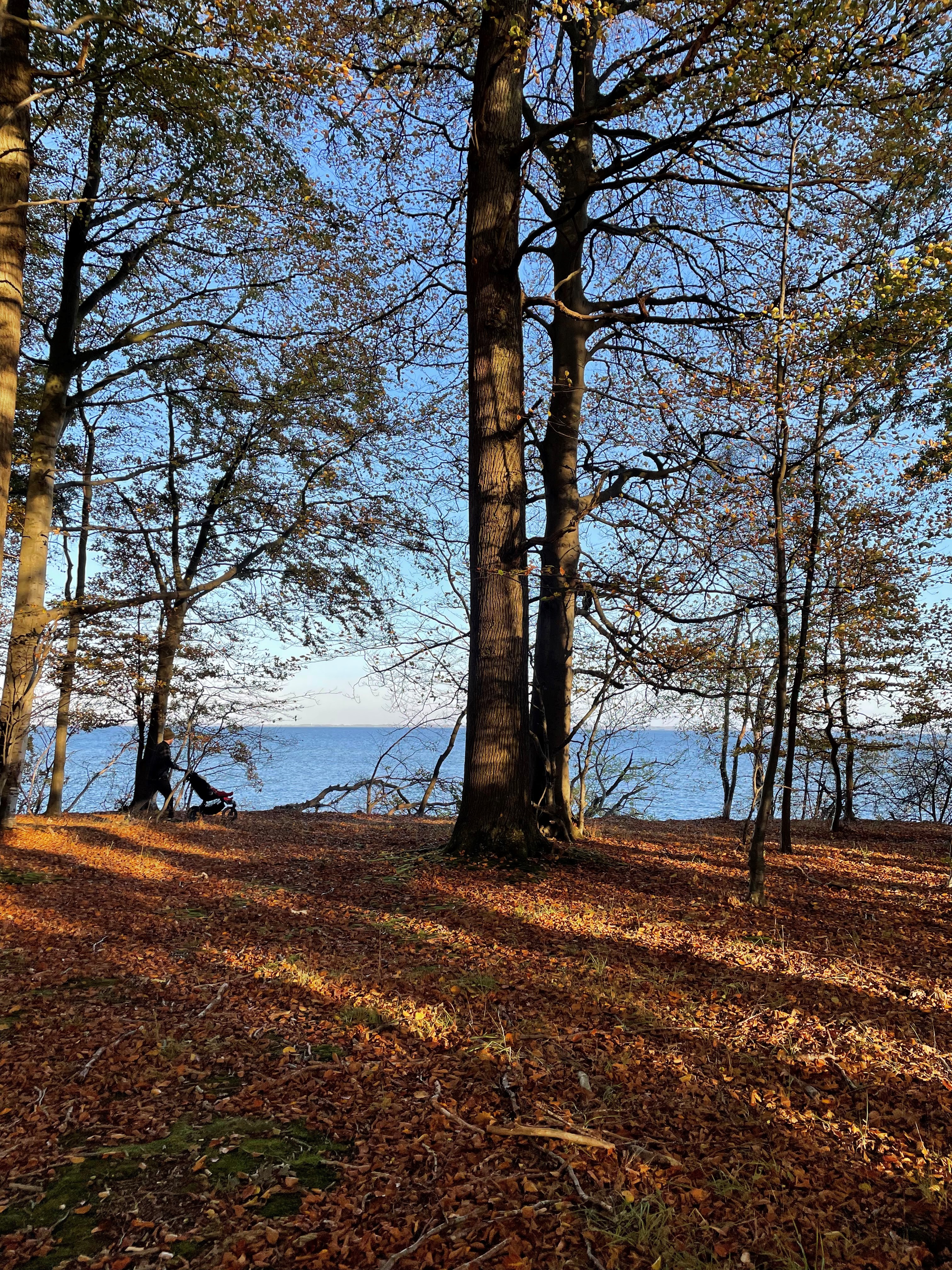 Efterår gåture, Svendborg