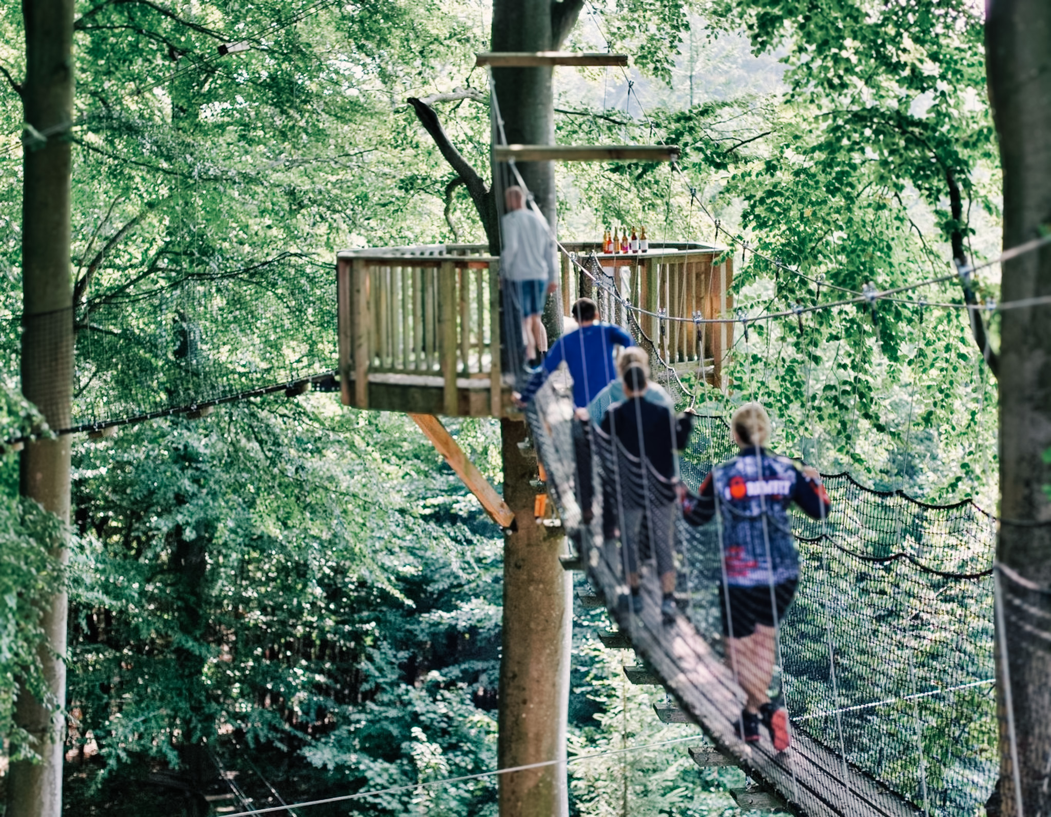 Teambuilding i Svendborg med Tasting in the tree tops