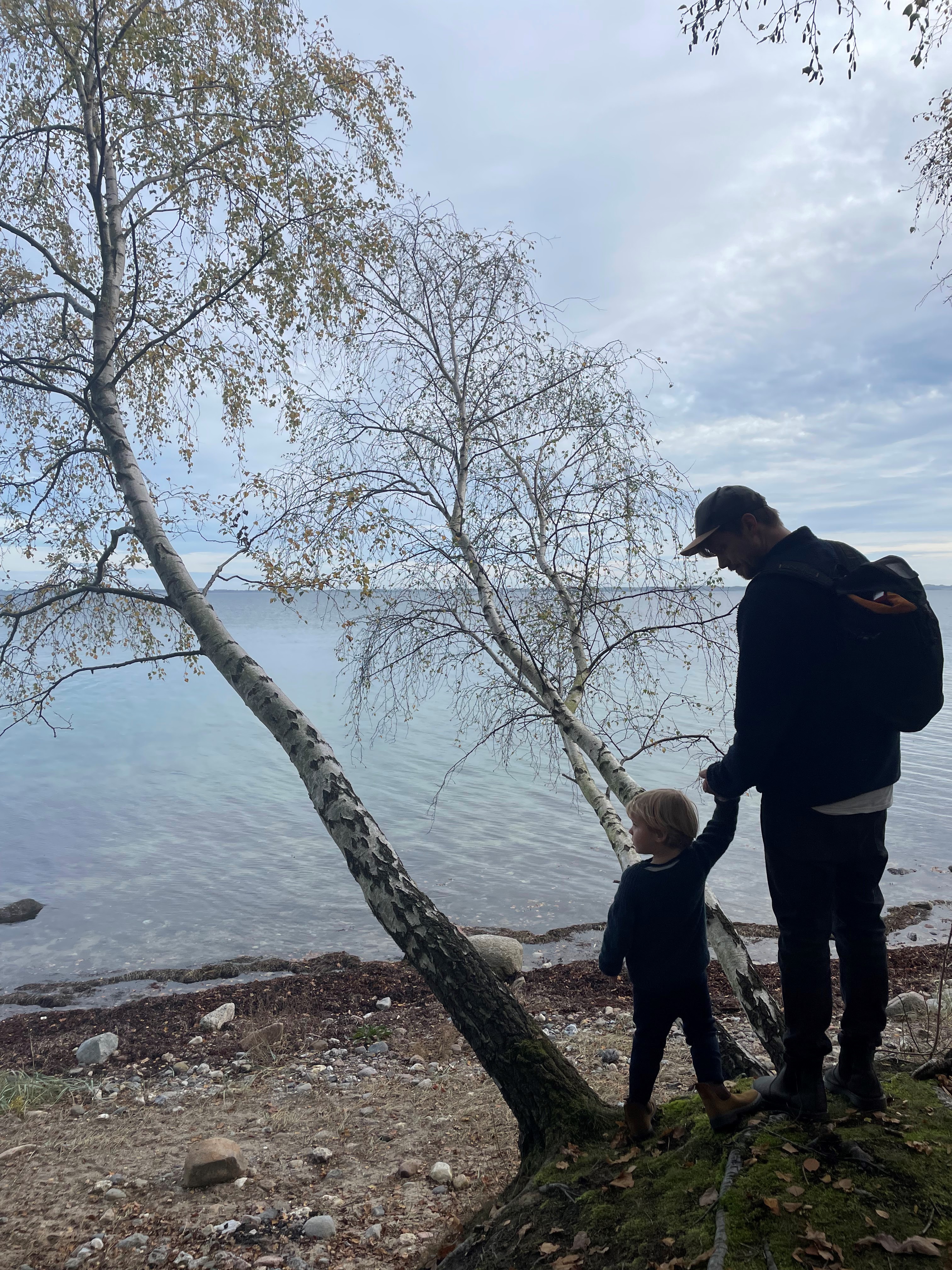 Thurø Rev efterår, Svendborg