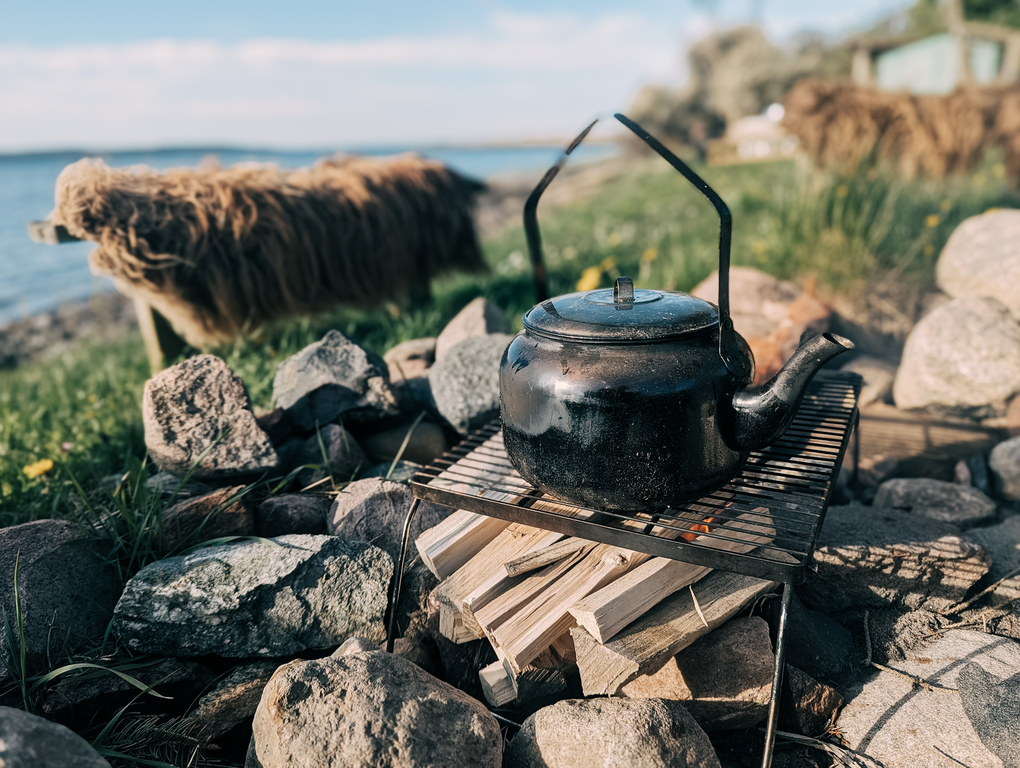 Teambuildingaktivitet i Svendborg, Vildmarksmad i Det sydfynske øhav