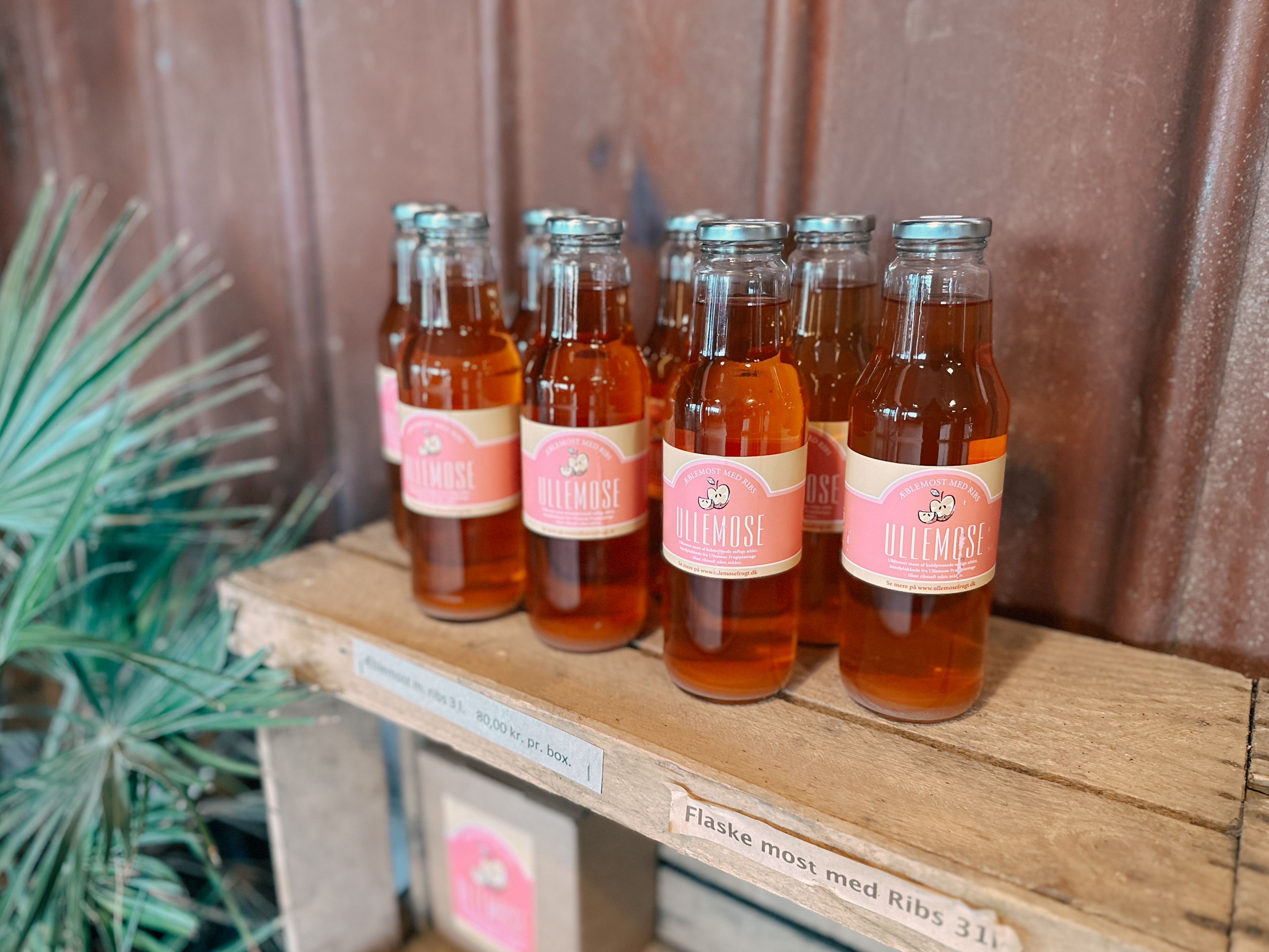 Most Æblemost lokale råvarer lokalt produceret Ullemose Frugt