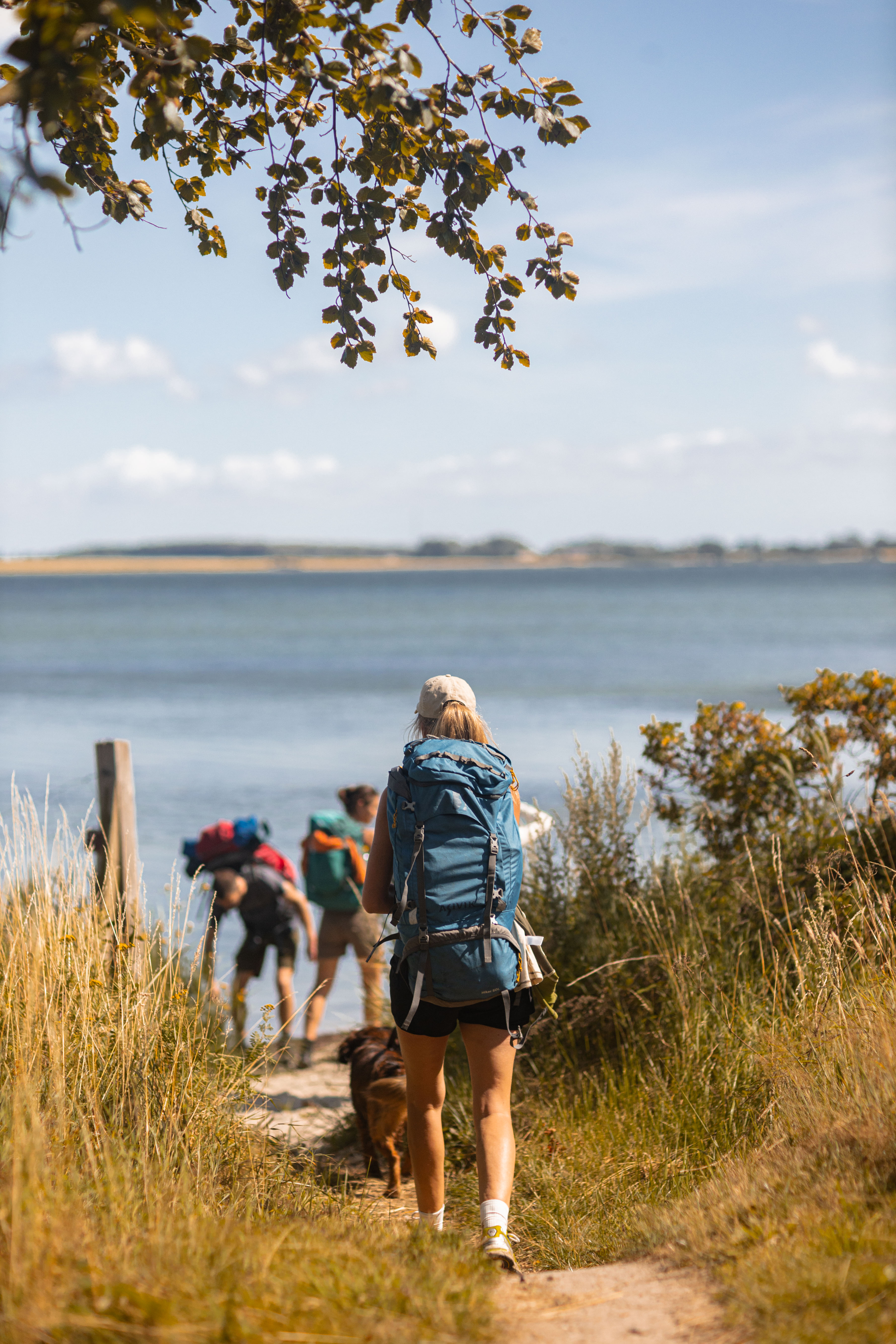 Øhavsstien - vandring på Sydfyn