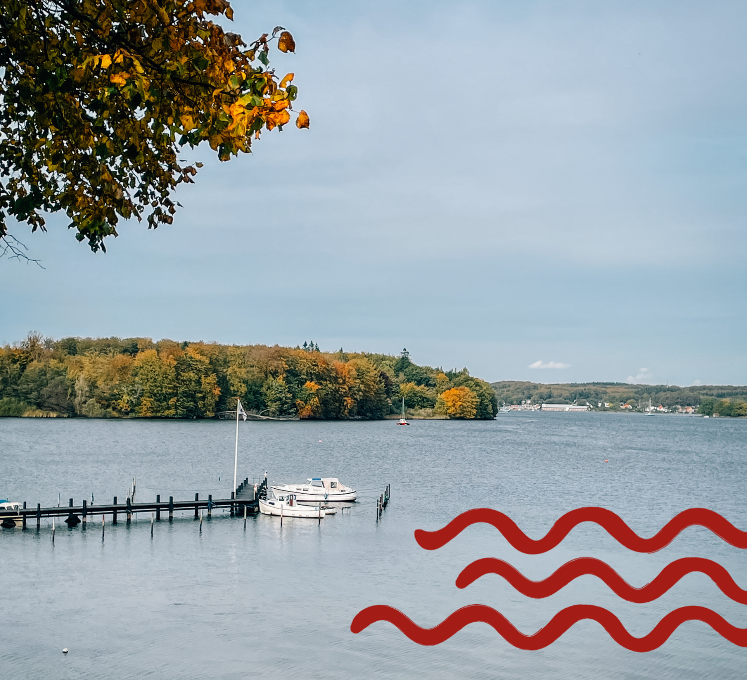 Efterår ved Svendborg, både i vandet