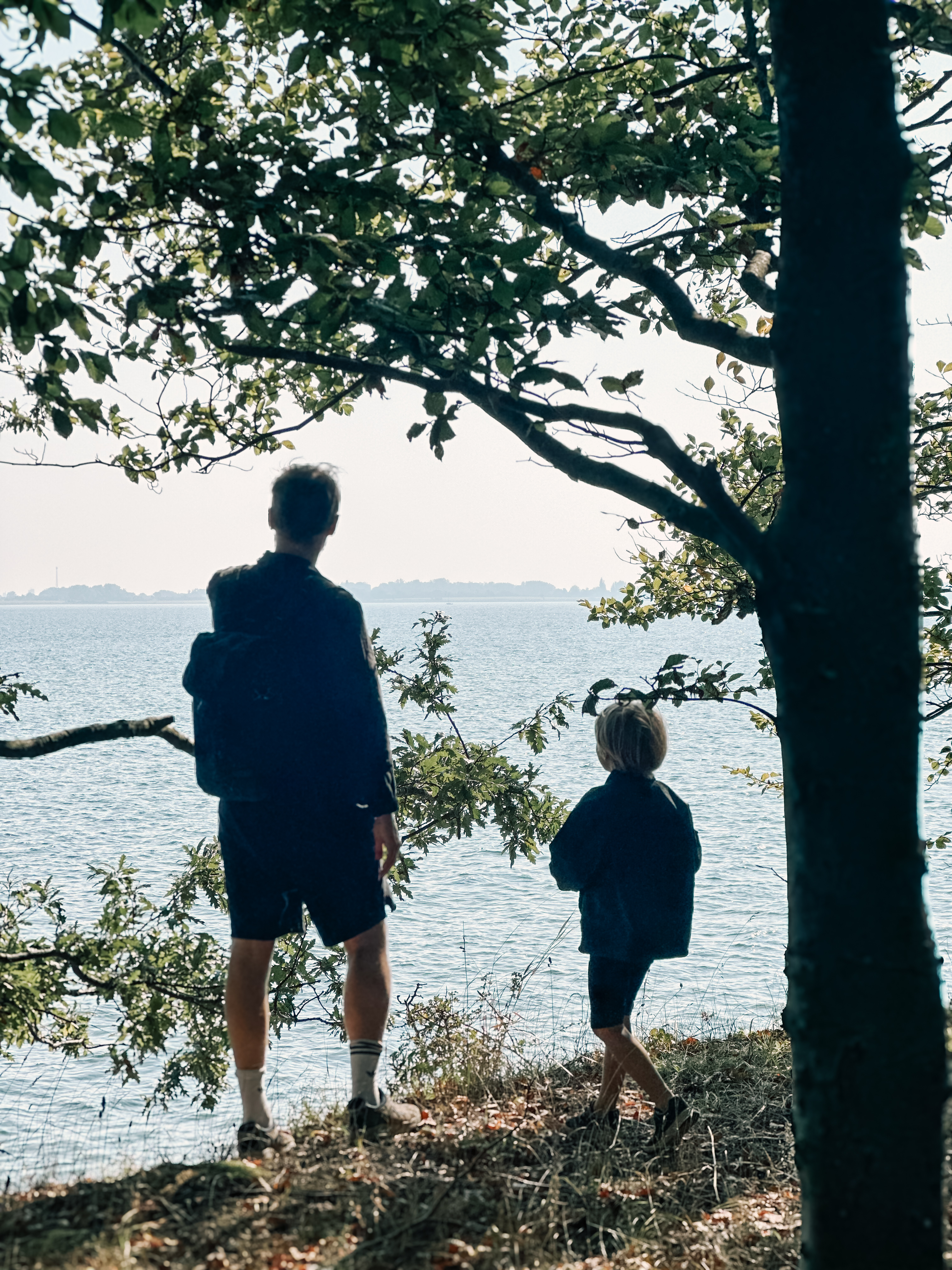 Vandring med børn på Øhavsstien og omkring Svendborg