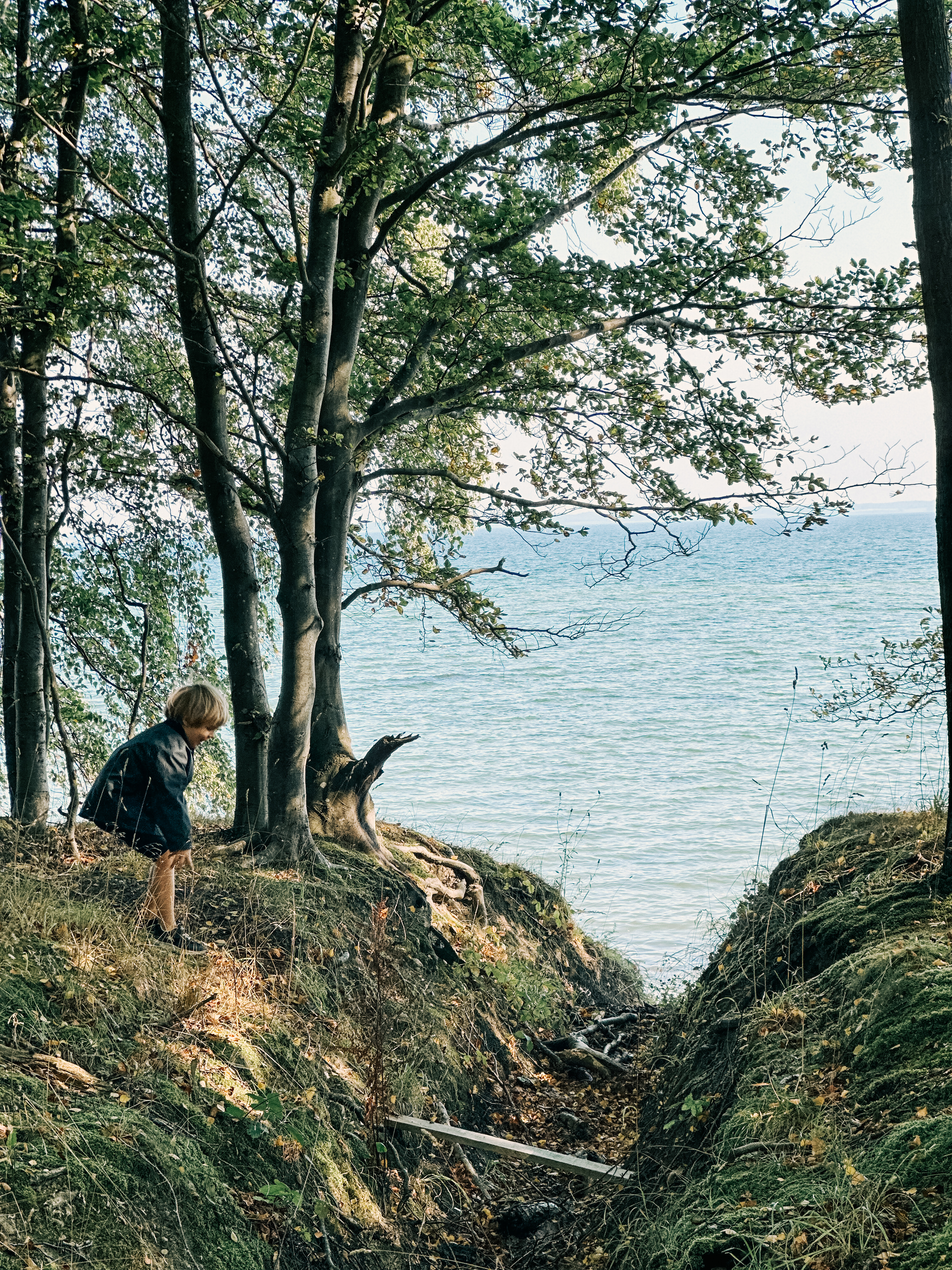 Vandring med børn omkring Svendborg - sådan planlægger du
