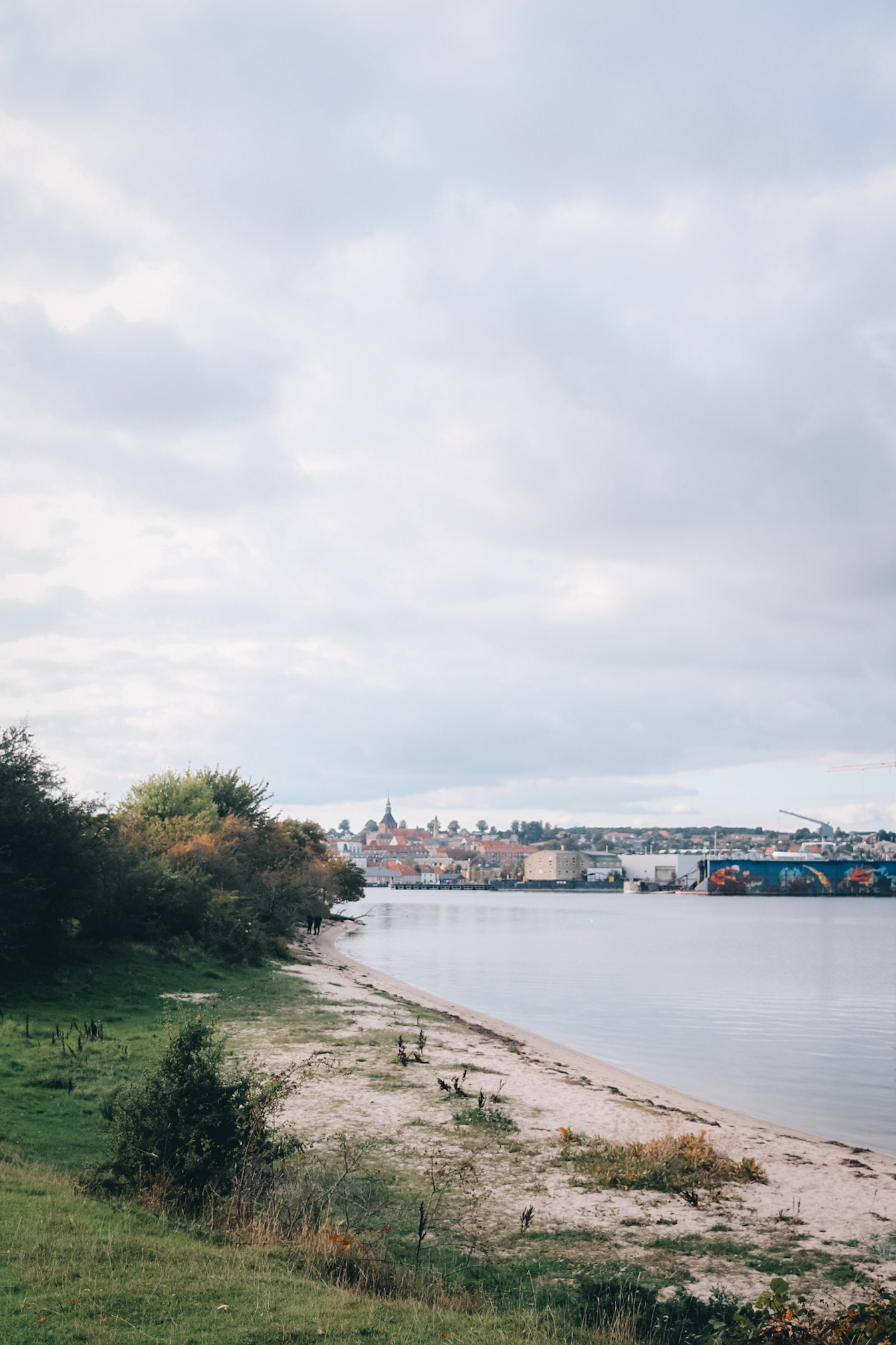 Vindebyøre, Svendborg i baggrund