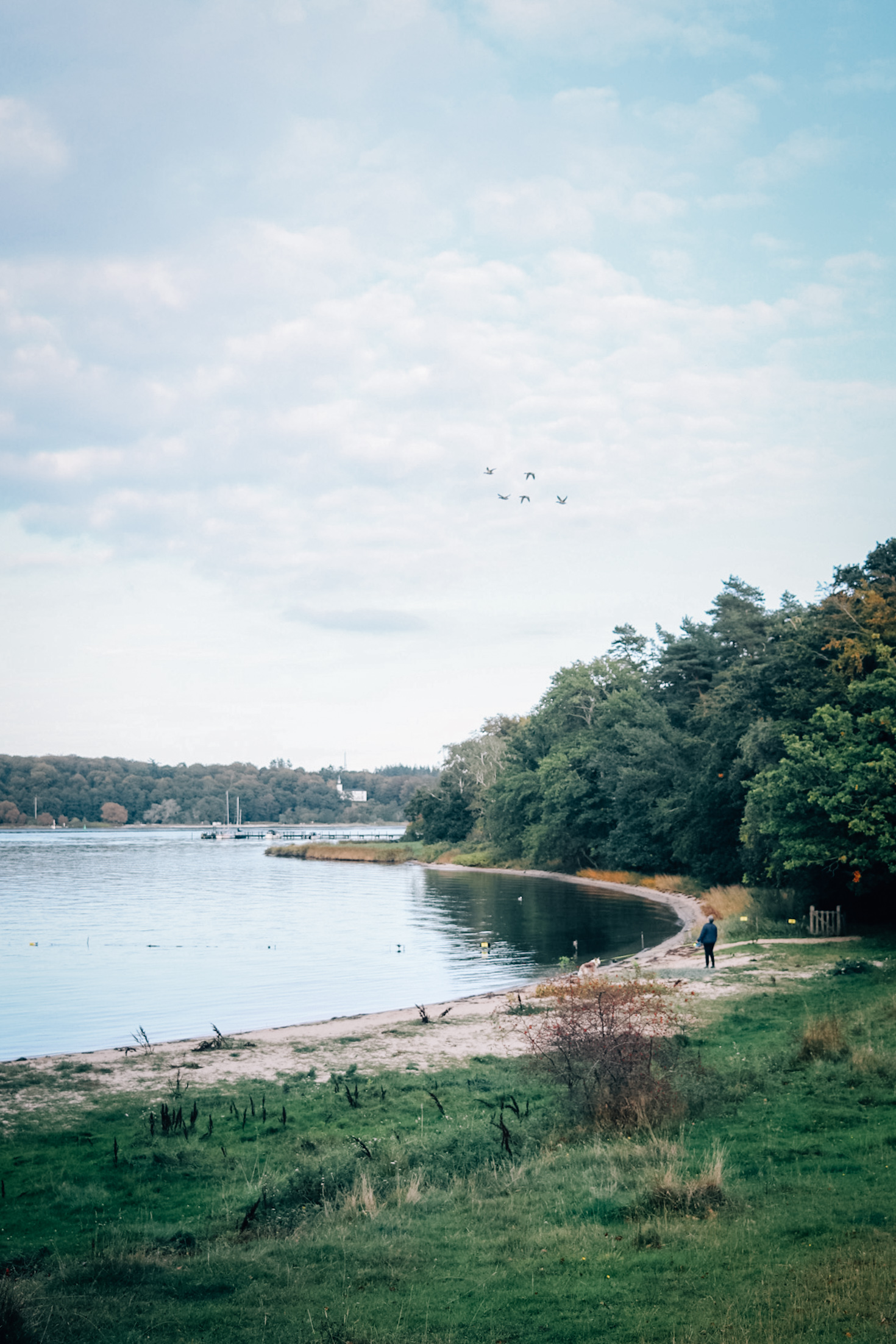 Efterår Vindebyøre, Svendborg