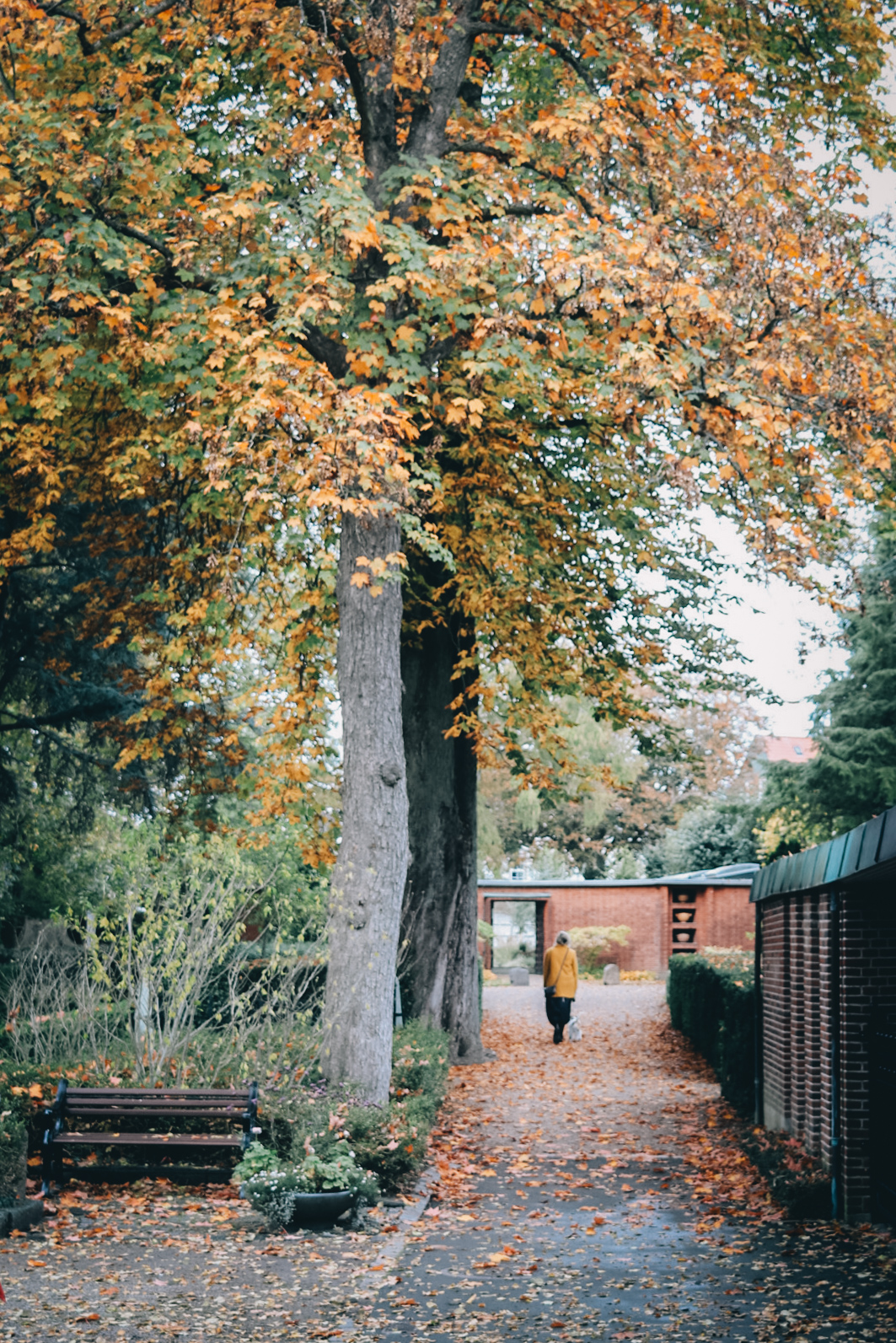 Efterår i Svendborg