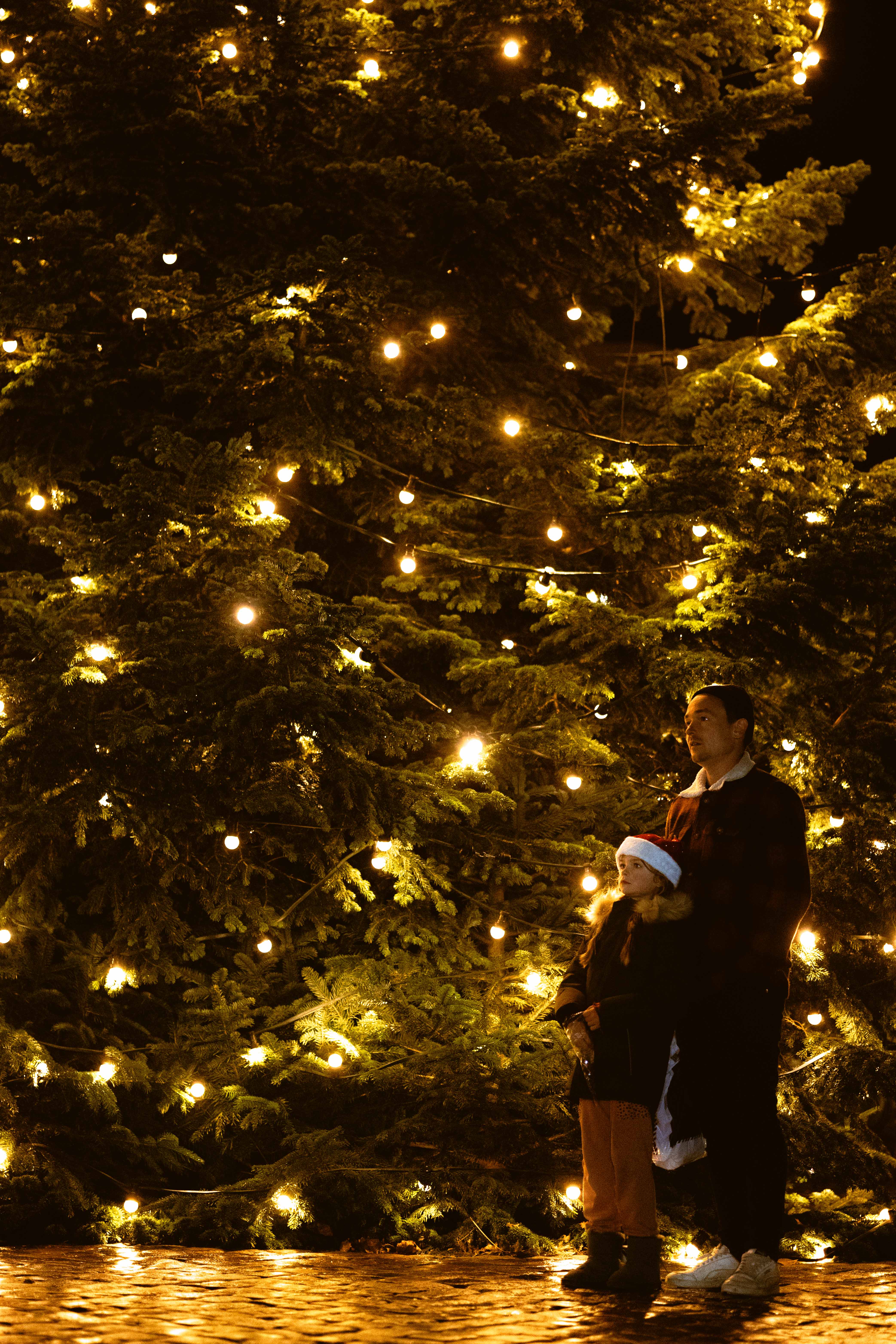 Jul i Svendborg - koncerter