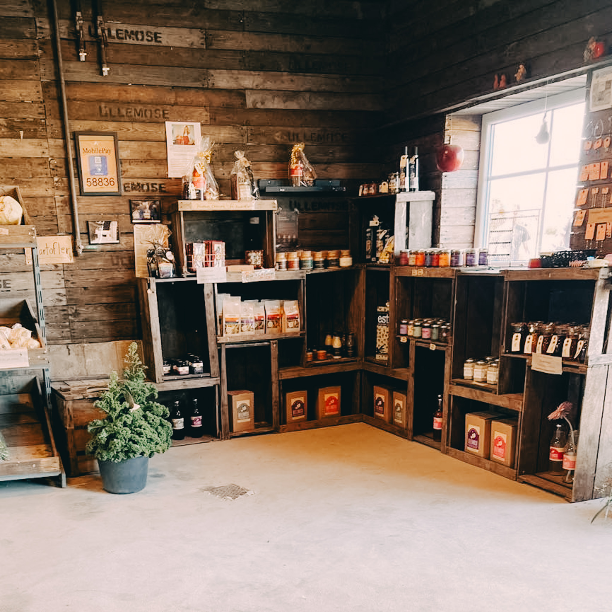 Ullemose Frugt, ved Svendborg, slevbetjeningsbutik