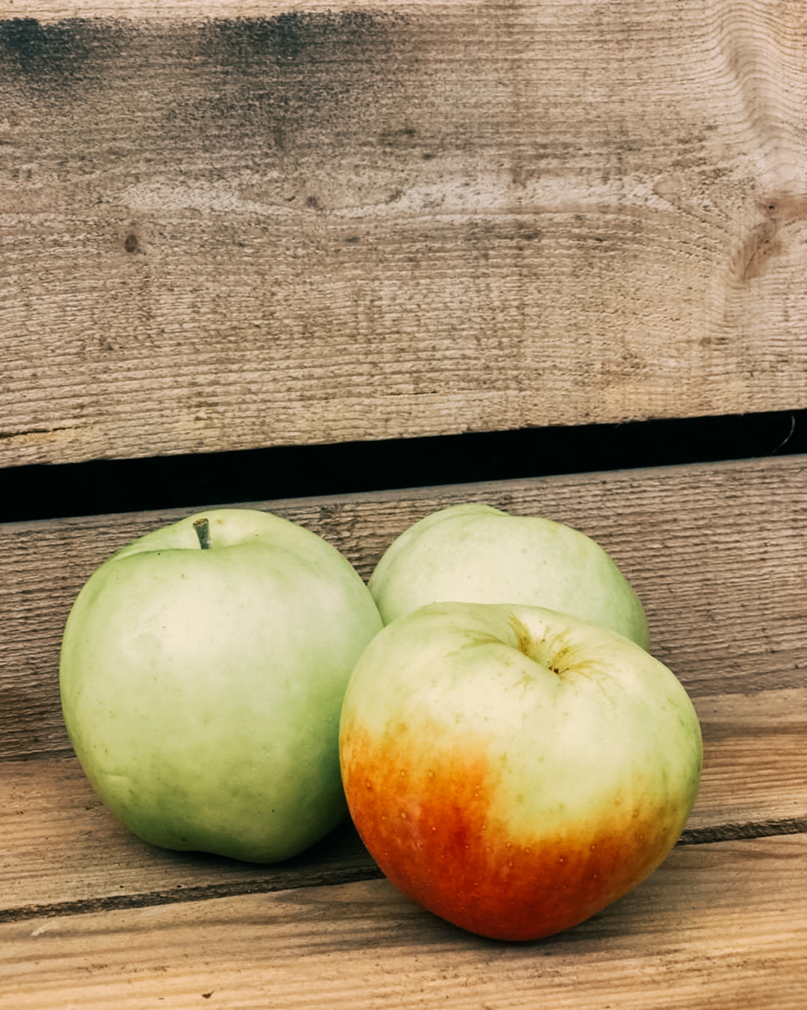 Filippaæble, Ullemose Frugt