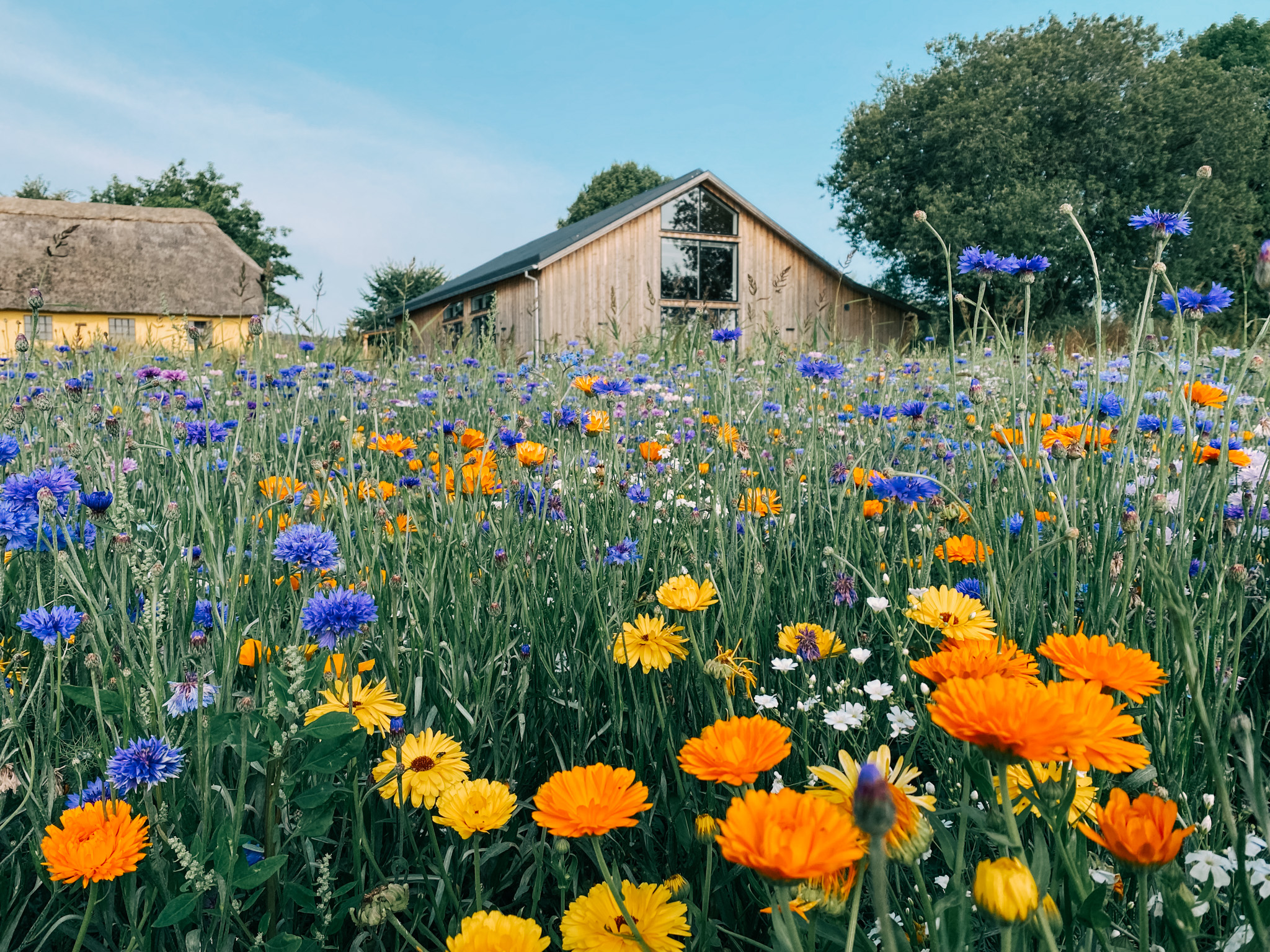 Stakladen, Svendborg - møder og konferencer
