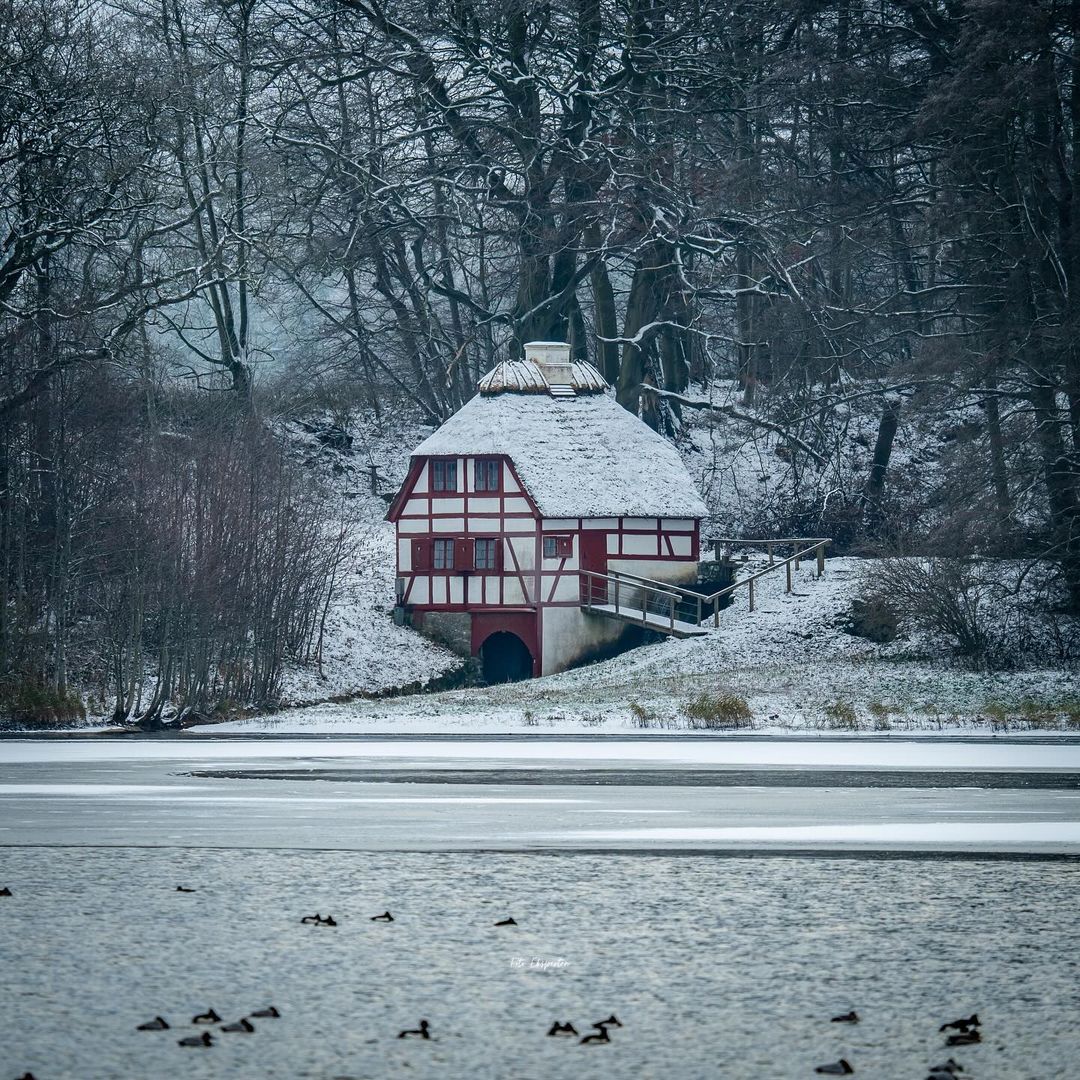 Hvidkilde snevejr, Svendborg