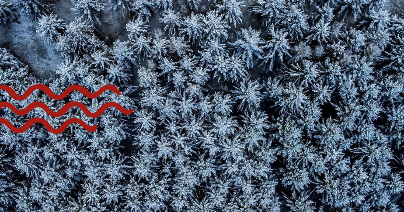 Snedækket skov, Svendborg, UNESCO-certificeret område