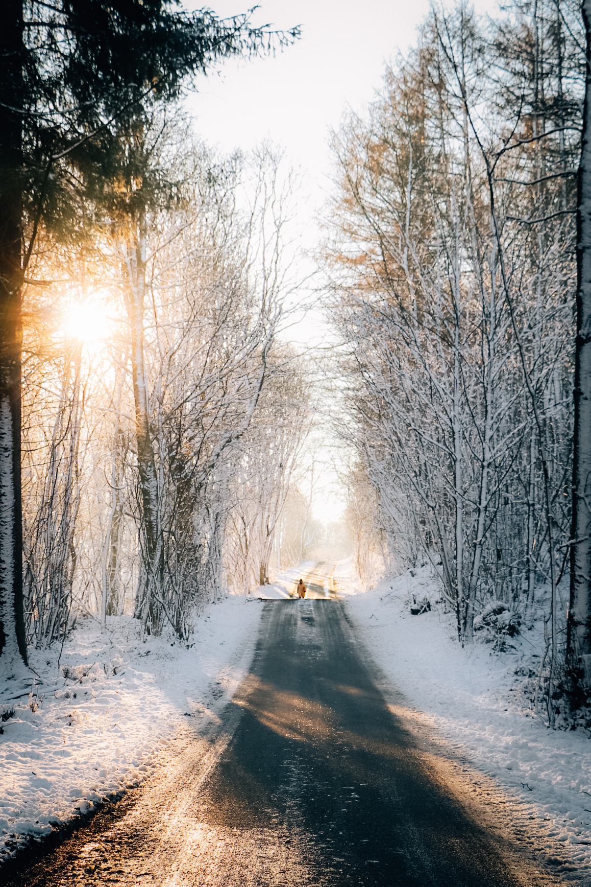 Sne, vinter i Svendborg ved Hvidkilde