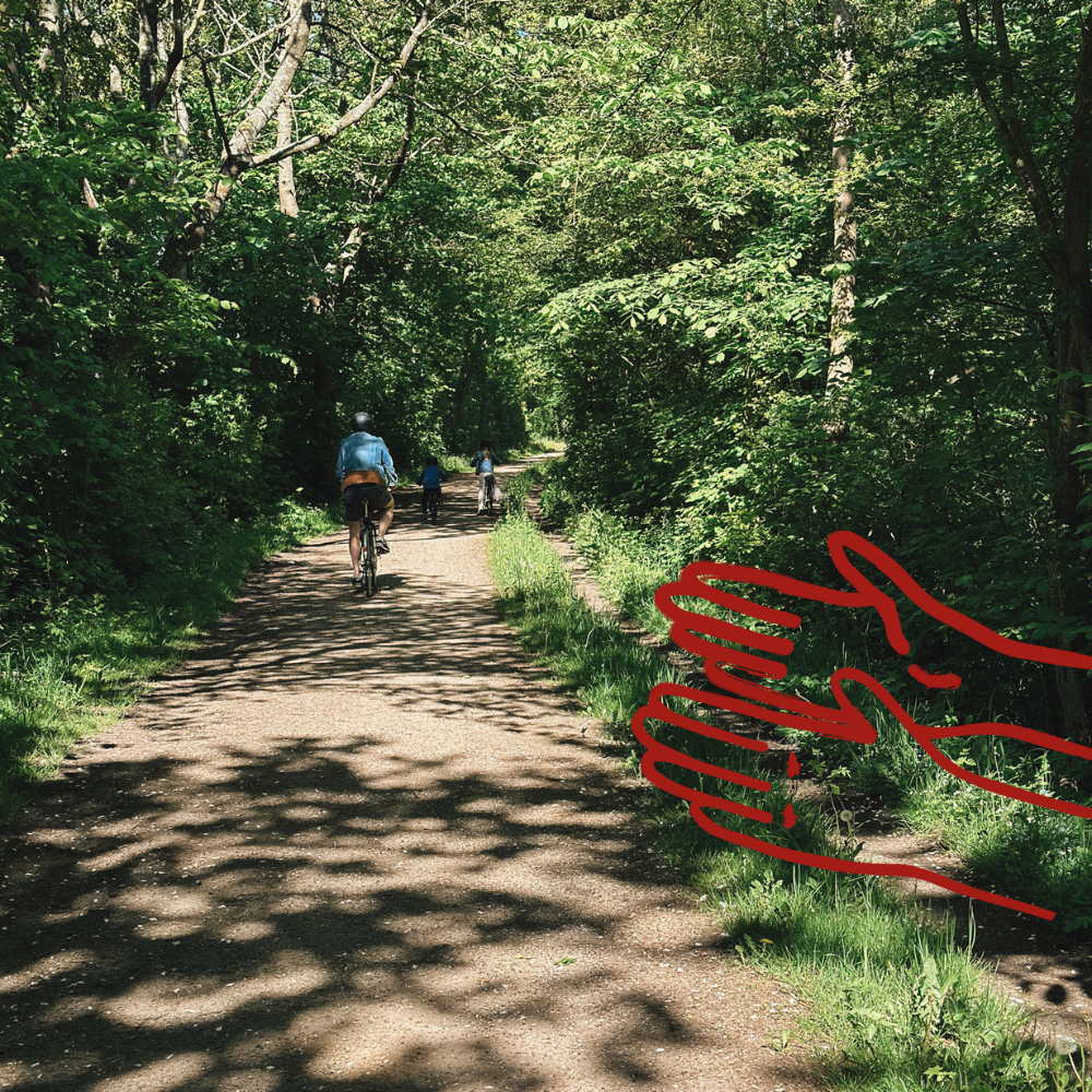 Cykeltur: Den sydfynske frugtrute ved Svendborg