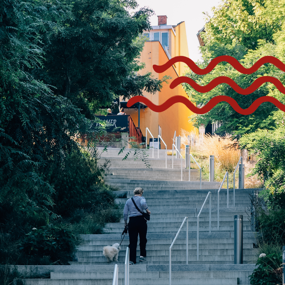 Havnetrappen og shopping i Svendborg