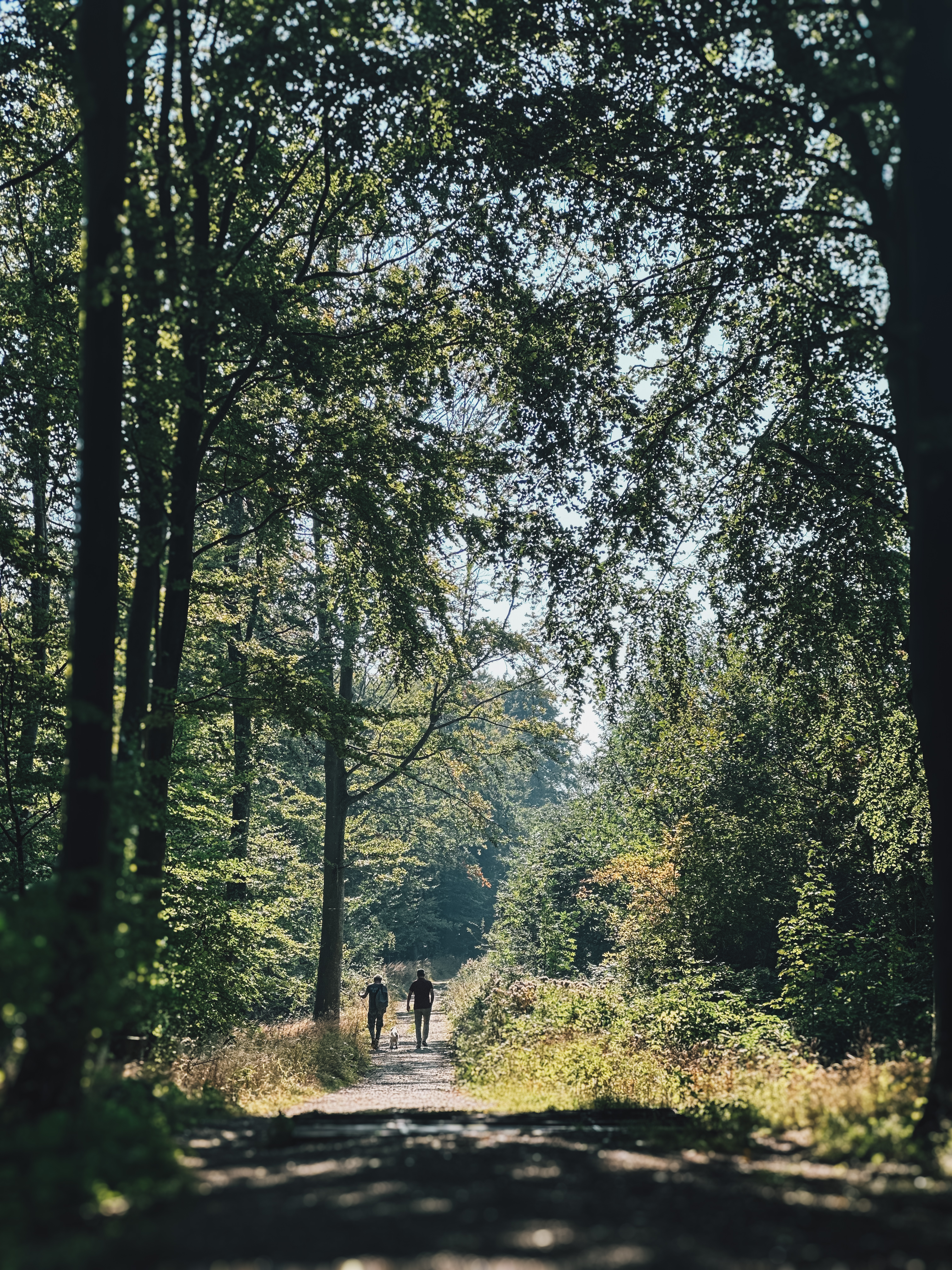 Nørreskoven på Tåsinge, Svendborg