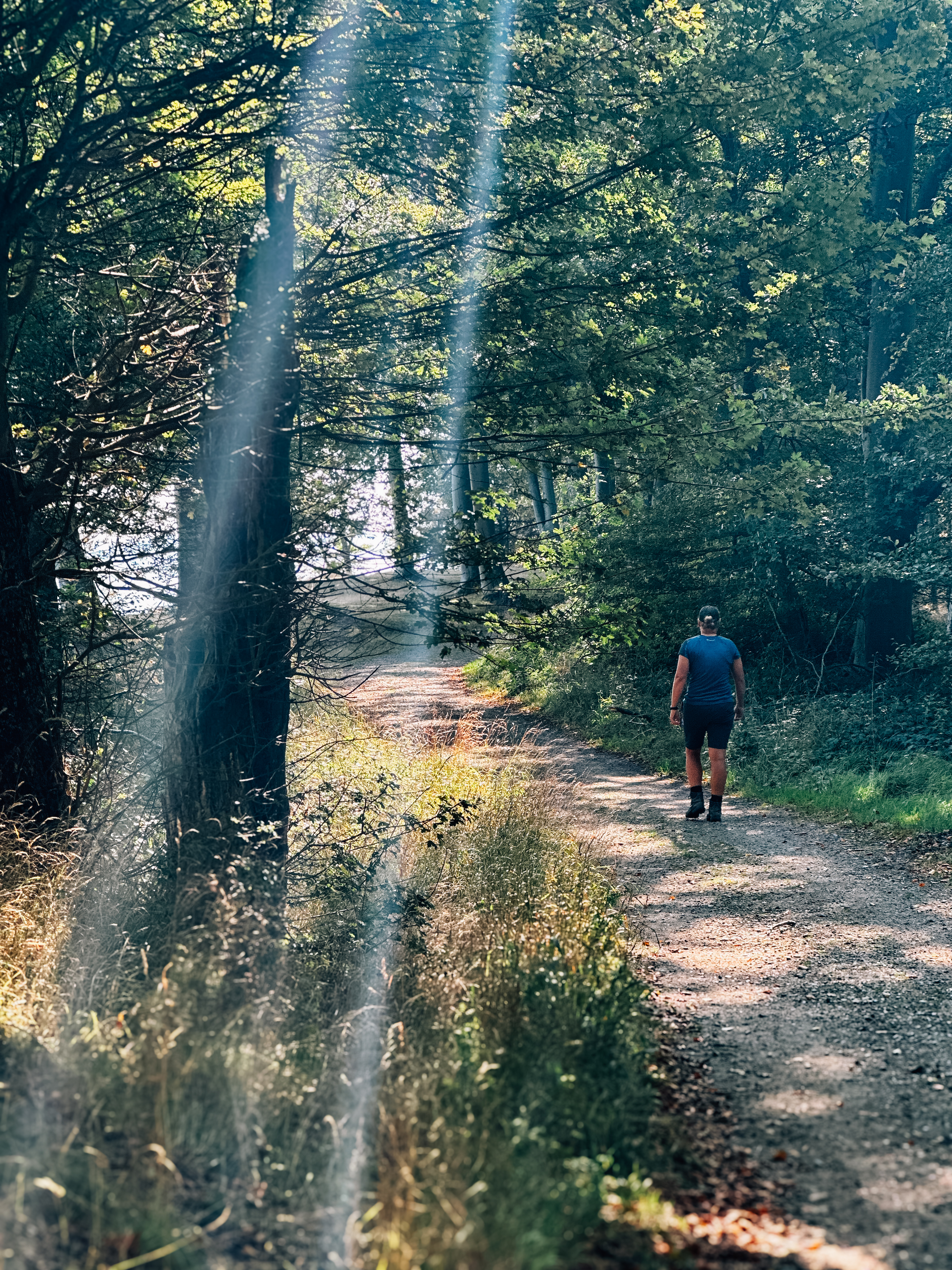 Nørreskoven på Tåsinge, Svendborg