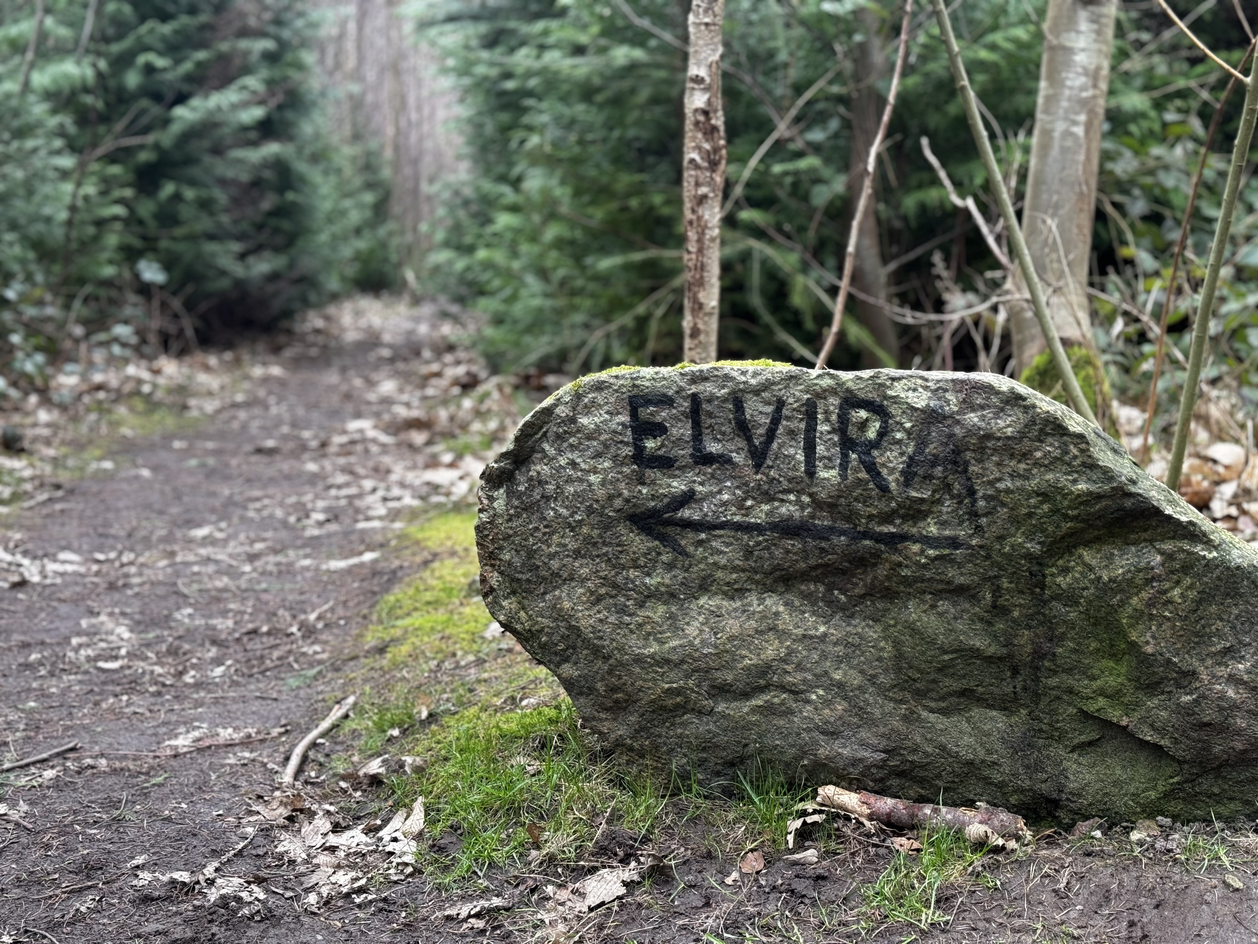 Elvira Madigan mindesten i Nørreskoven, Svendborg