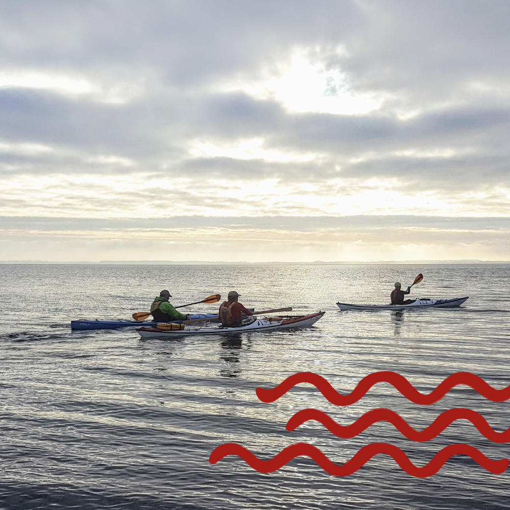 Kajak i Det Sydfynske Øhav