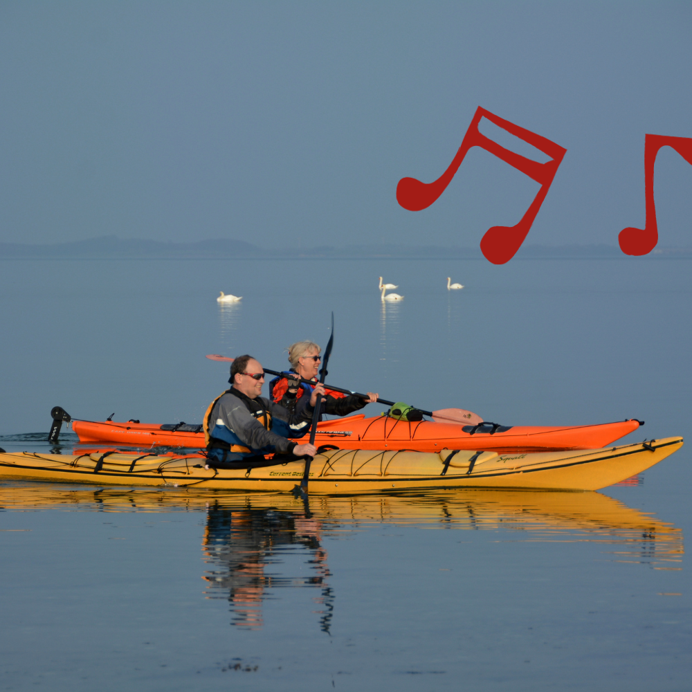 Kajakture på Svendborgsund