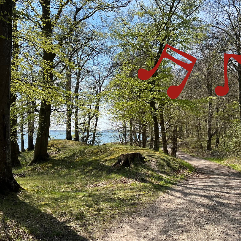 Nørreskoven på Tåsinge, Svendborg