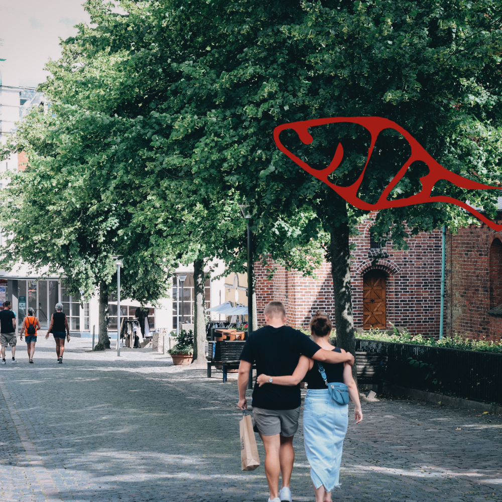 Latinerkvarteret i Svendborg