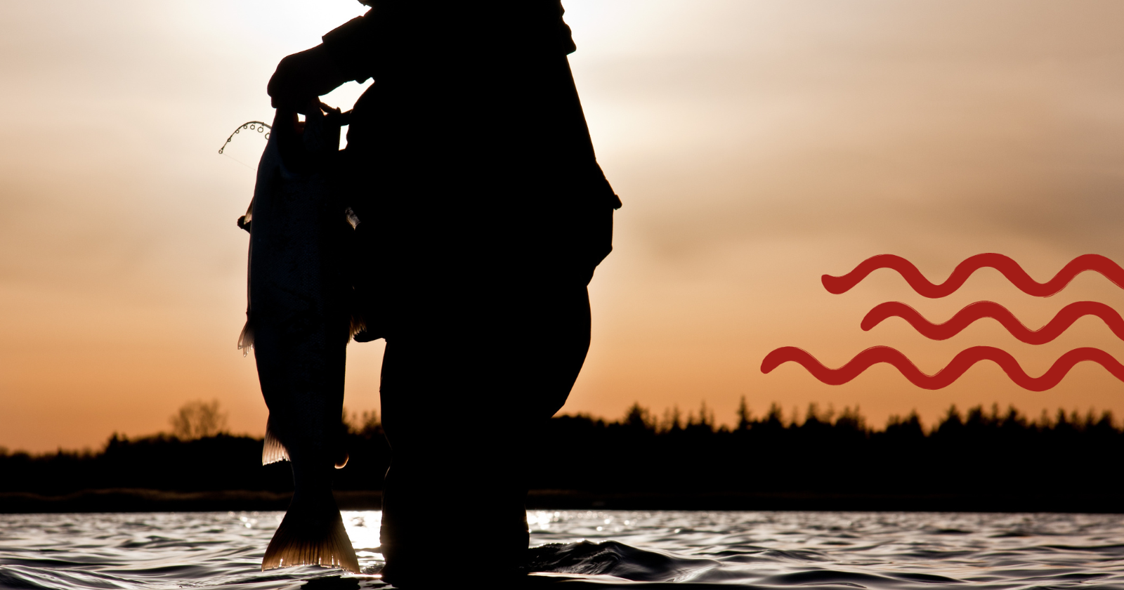 Fiskeri, Sommer ved Sundet, Svendborg