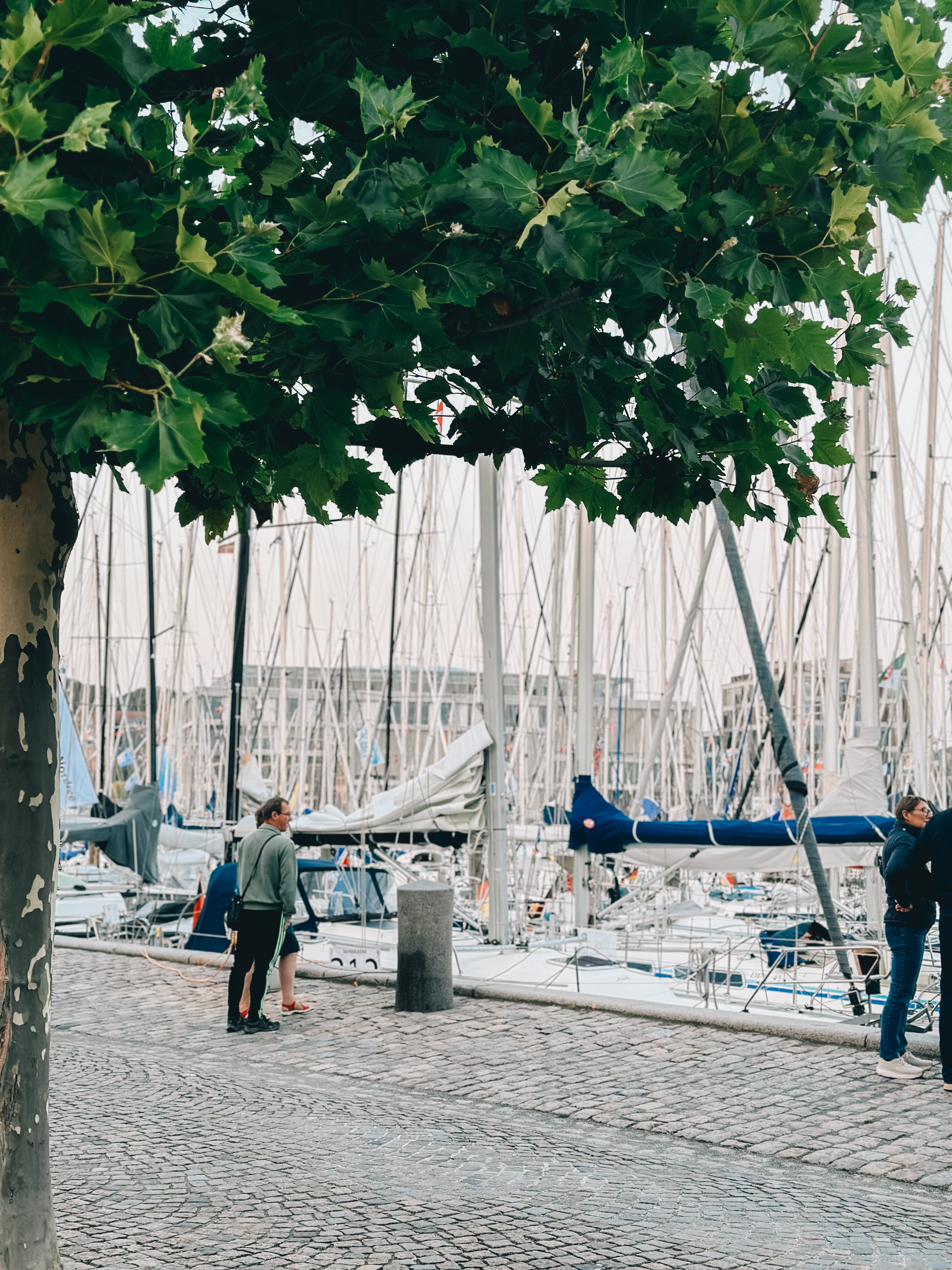 Svendborg lystbådehavn