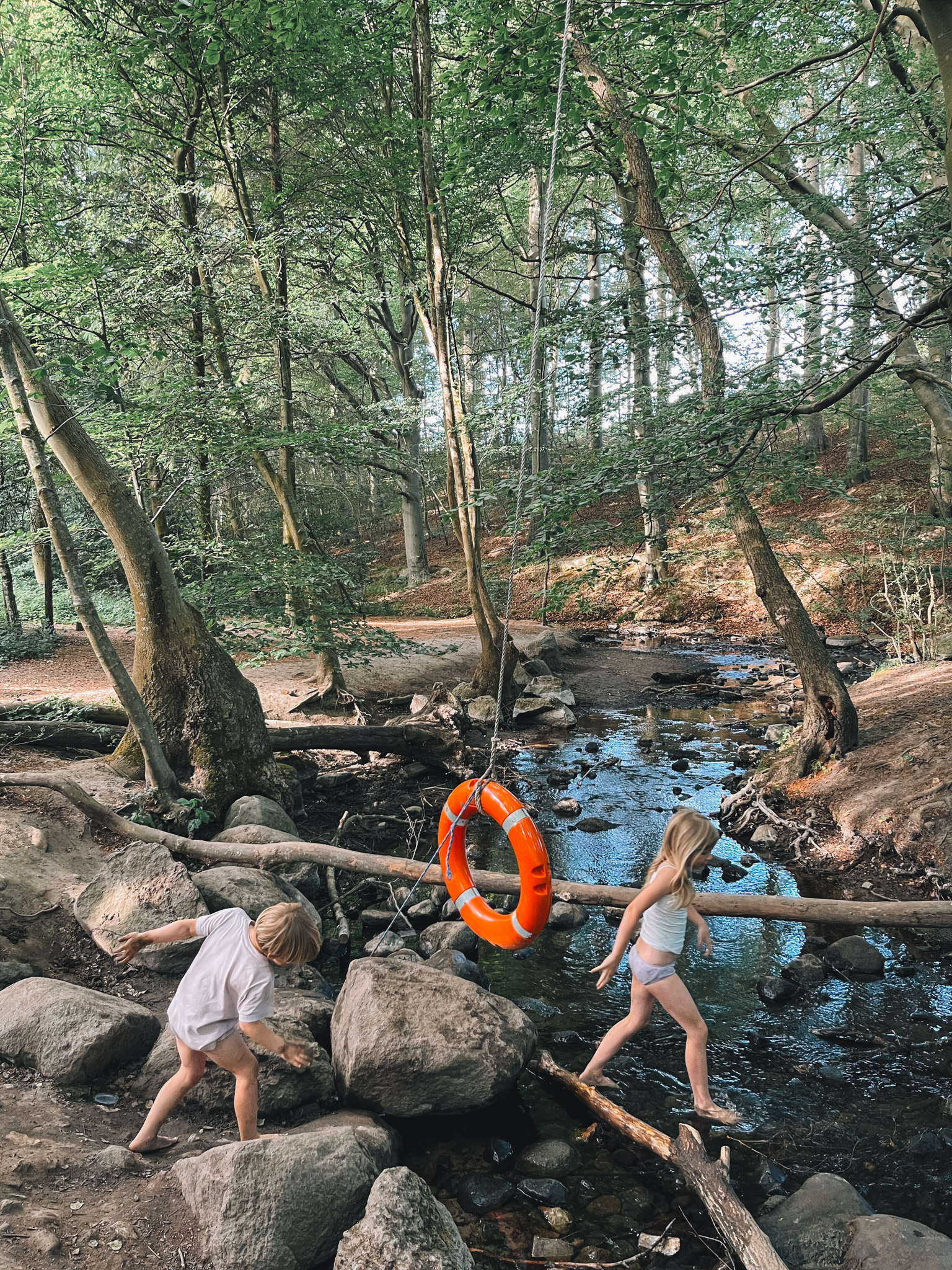 Vejstrup Ådal, sommer, Svendborg