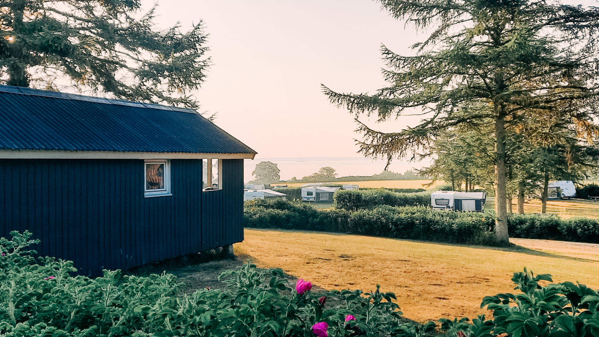 Knarreborg Mølle Camping, Sommer ved Sundet, Svendborg
